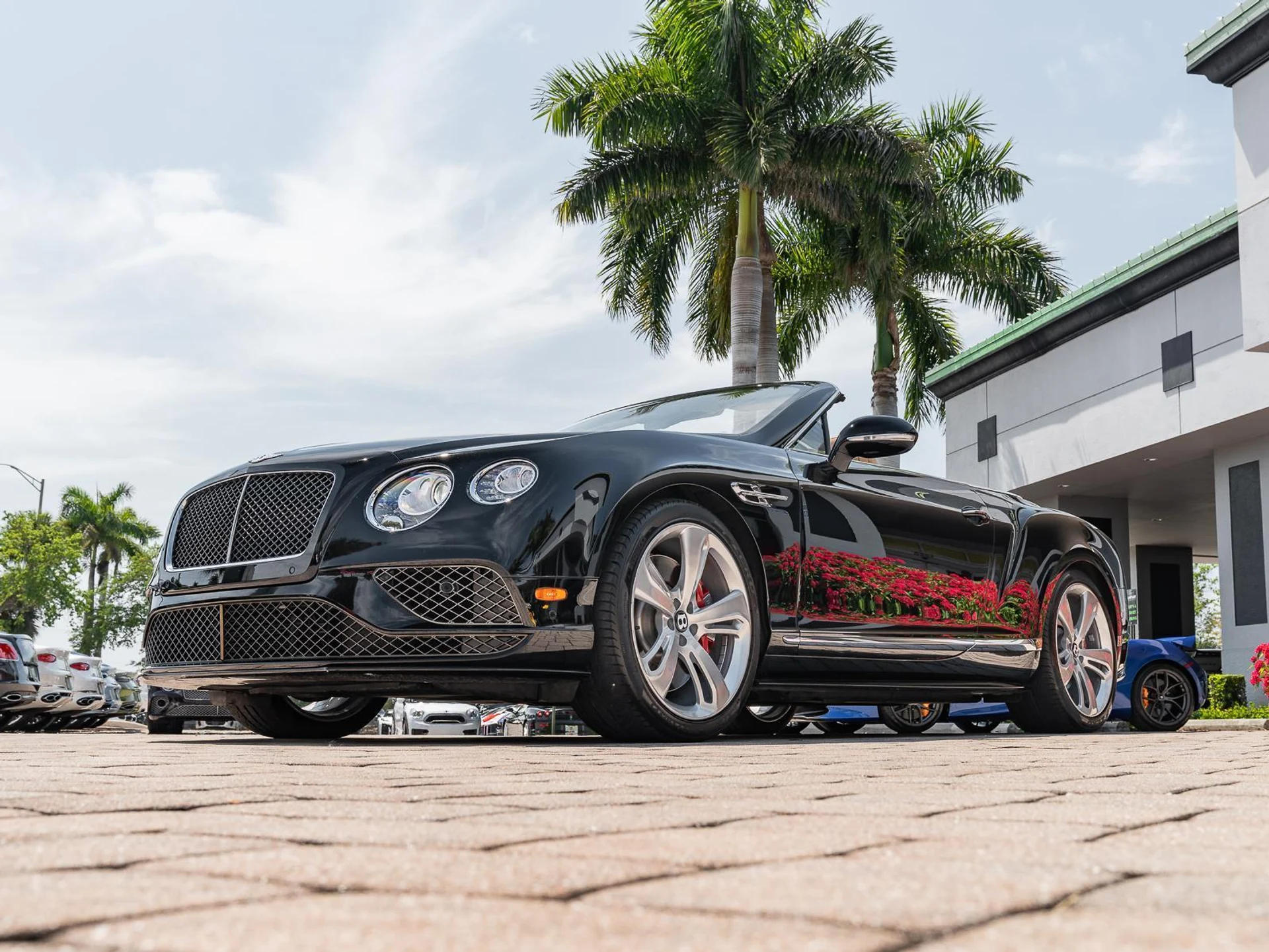 mph006_4202830265_Used_2016_Bentley_Continental_GT_Speed_1774476141_bd9ea57e48