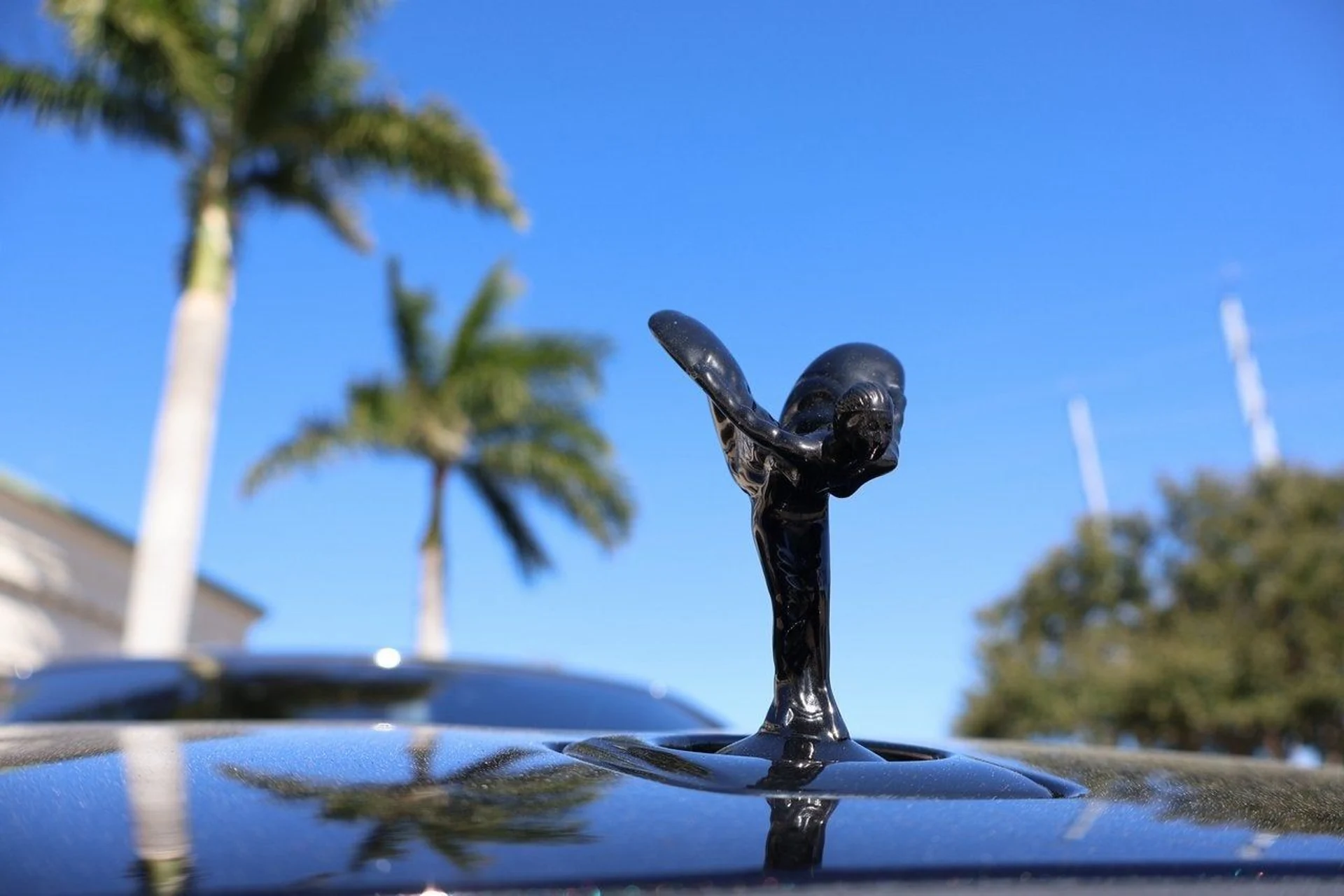 mph006_423398160_7_076d732dac