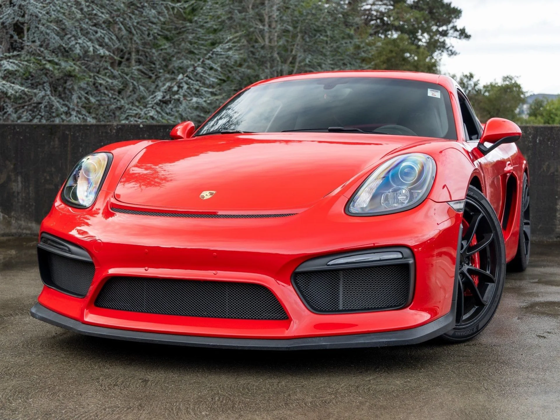 mph006_4293154751_7_15778d08c1