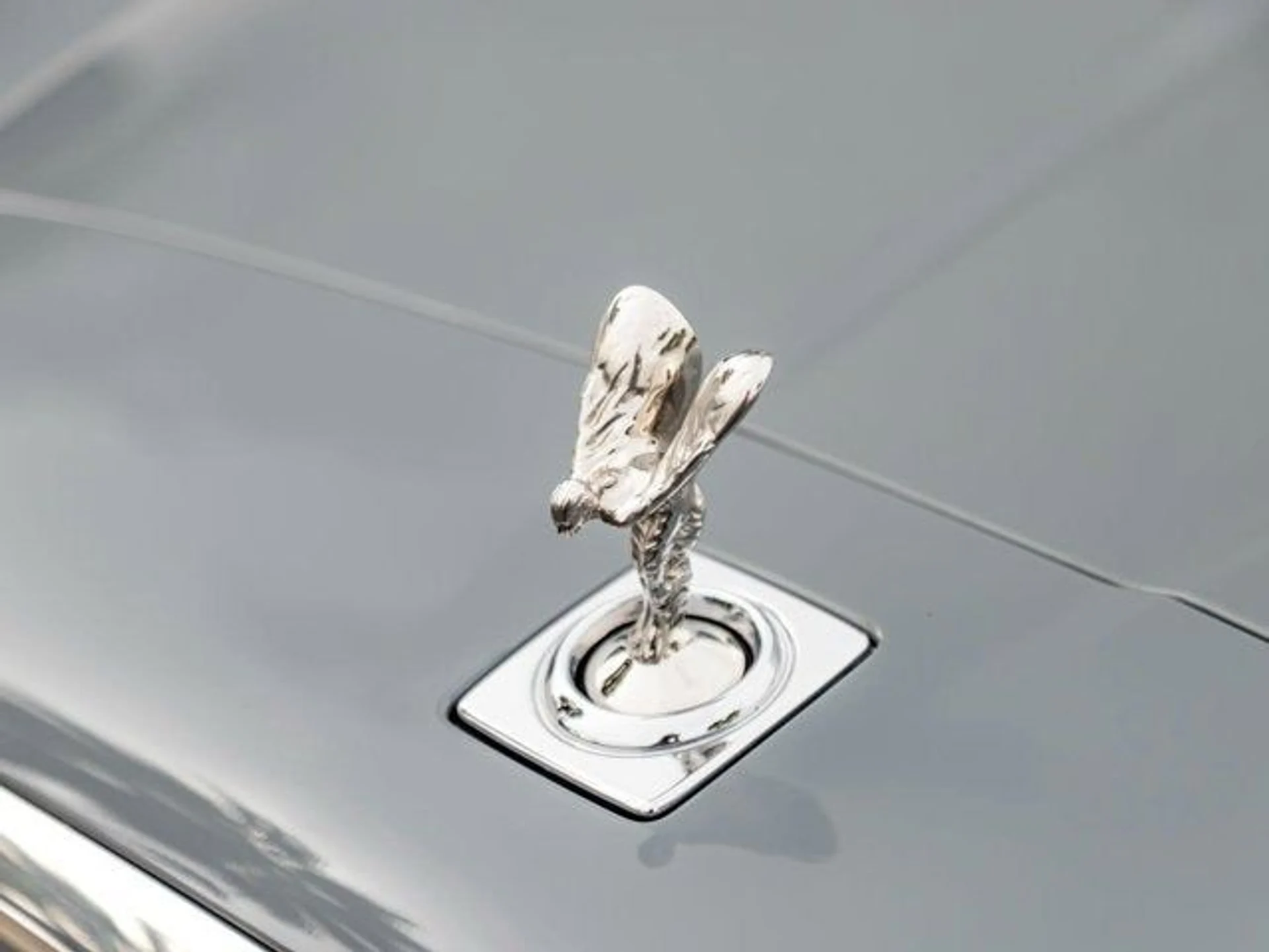 mph006_440145777_7_91fe679527