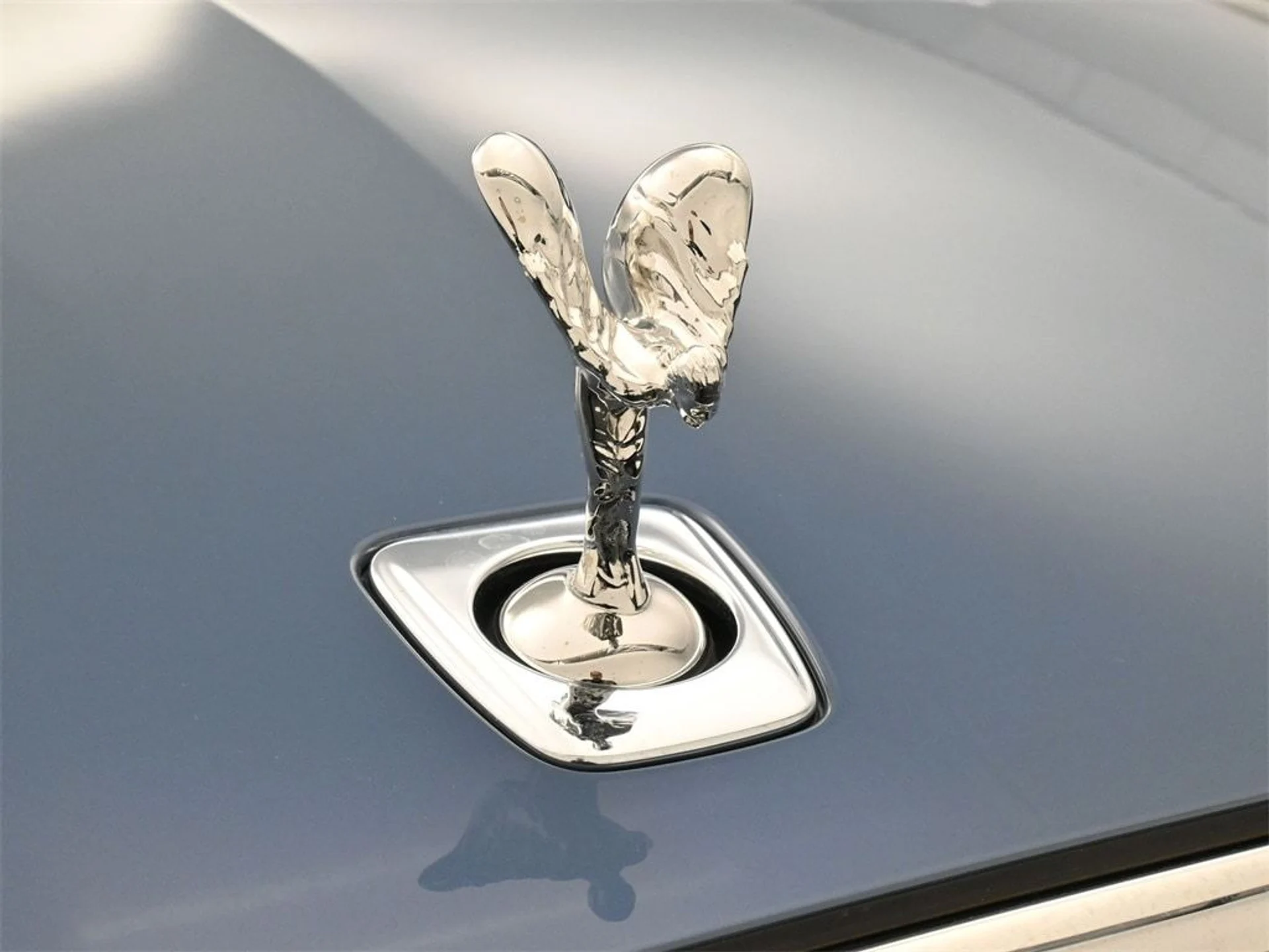 mph006_44265068_9a32ef741ac7ed00e5351014c66a0cb7x_8992196459