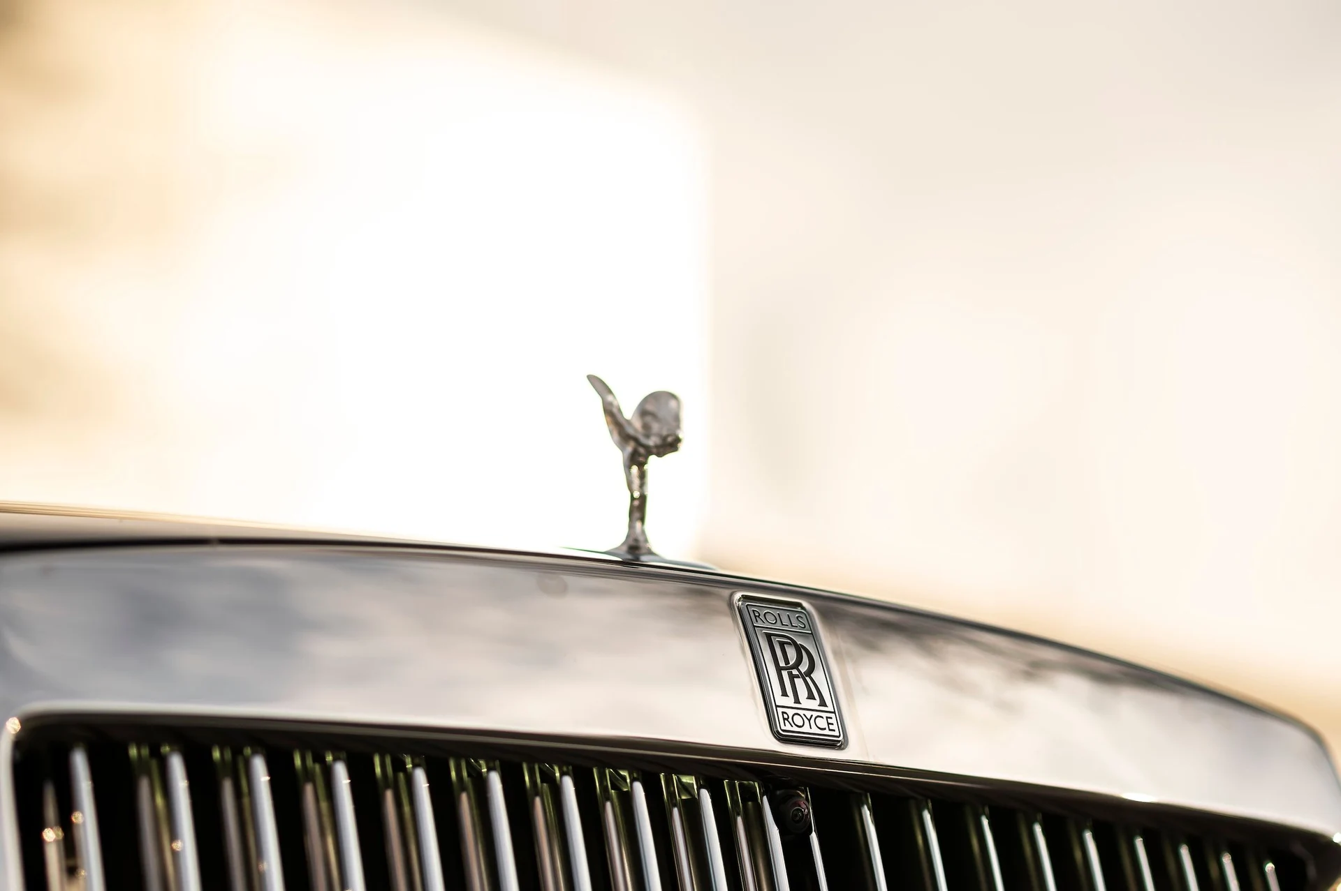 mph006_453097370_284603abc31b4a86a9b4ccdeb7fcd78d_342d153e12