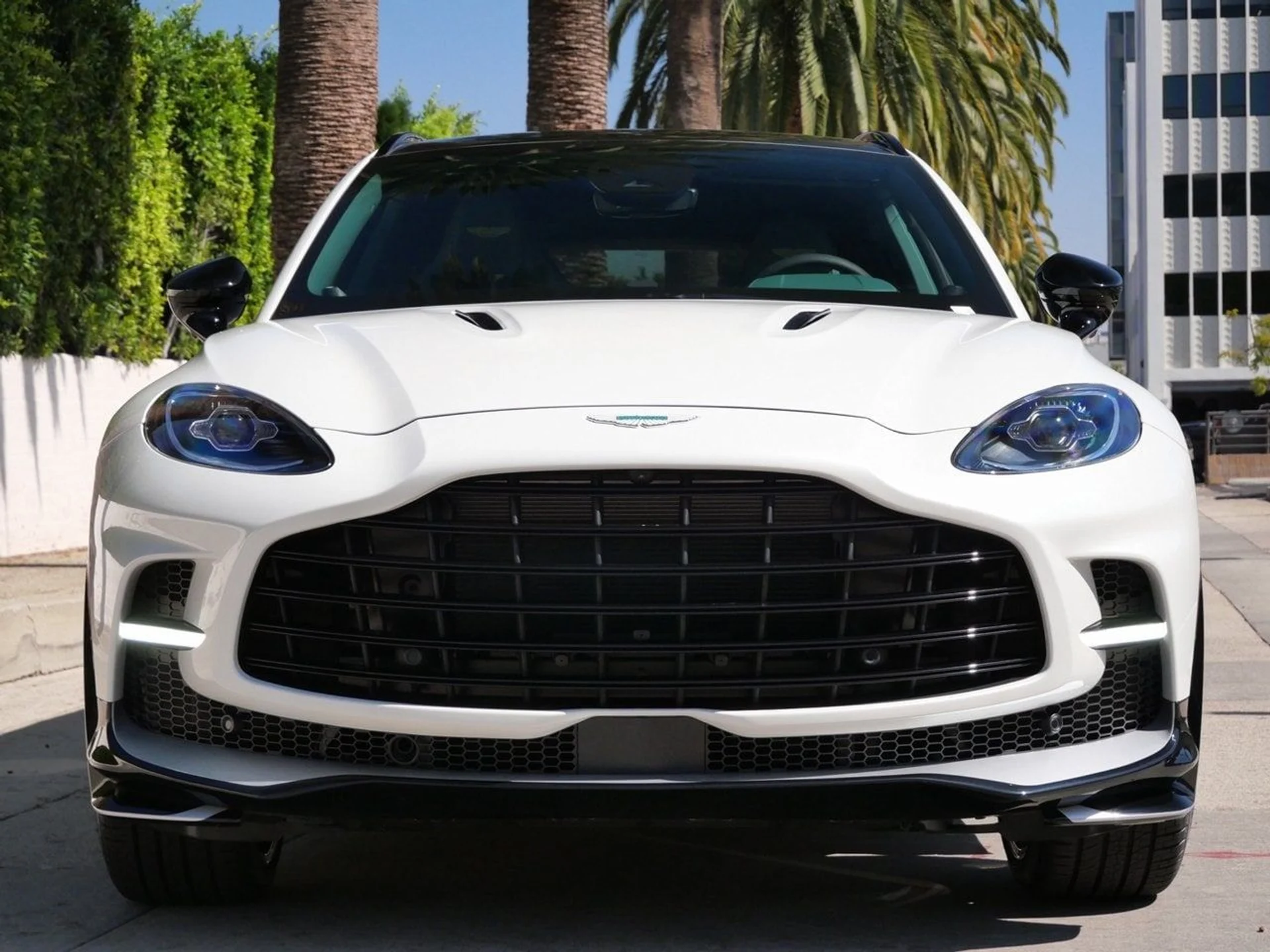 mph006_522867220_8c1f2fef4ca379a997e691e9c5dd3a84x_3177f6e86d