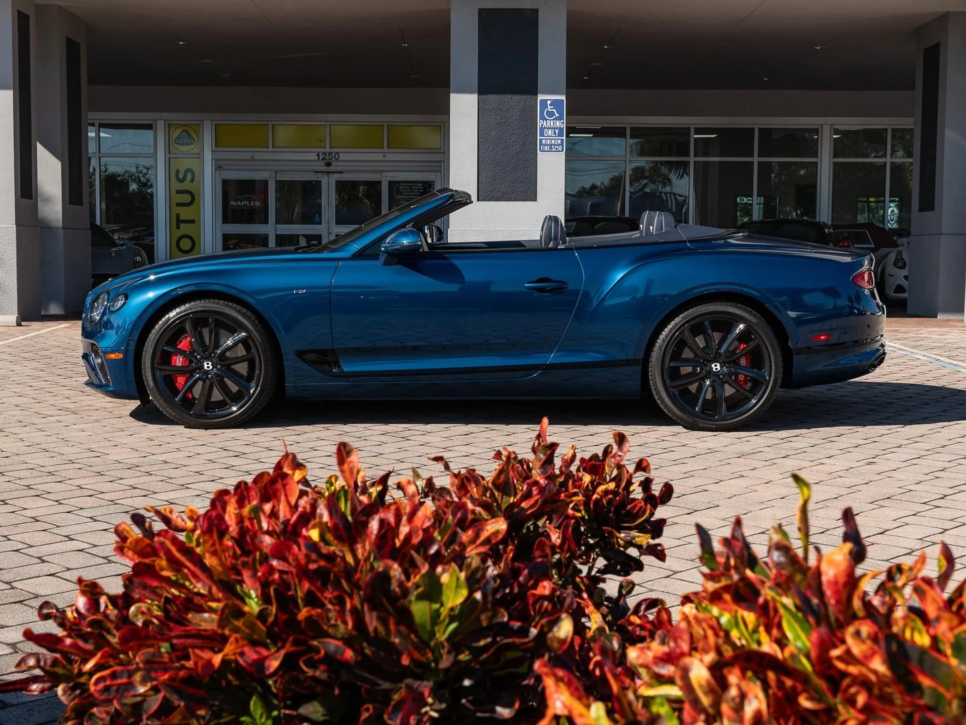 mph006_538723452_Used_2022_Bentley_Continental_GT_V8_1764612355_e5b9f6c5c9