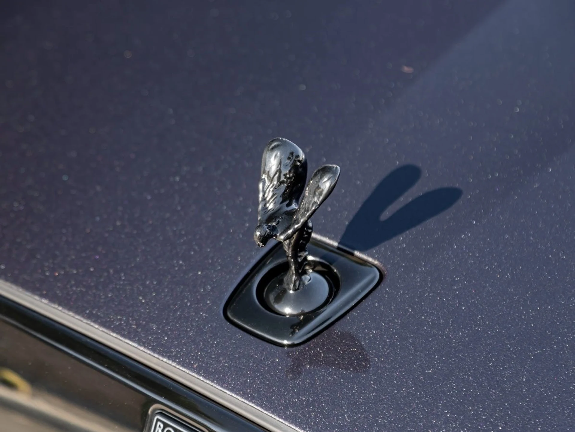 mph006_544597315_7_26a196577c