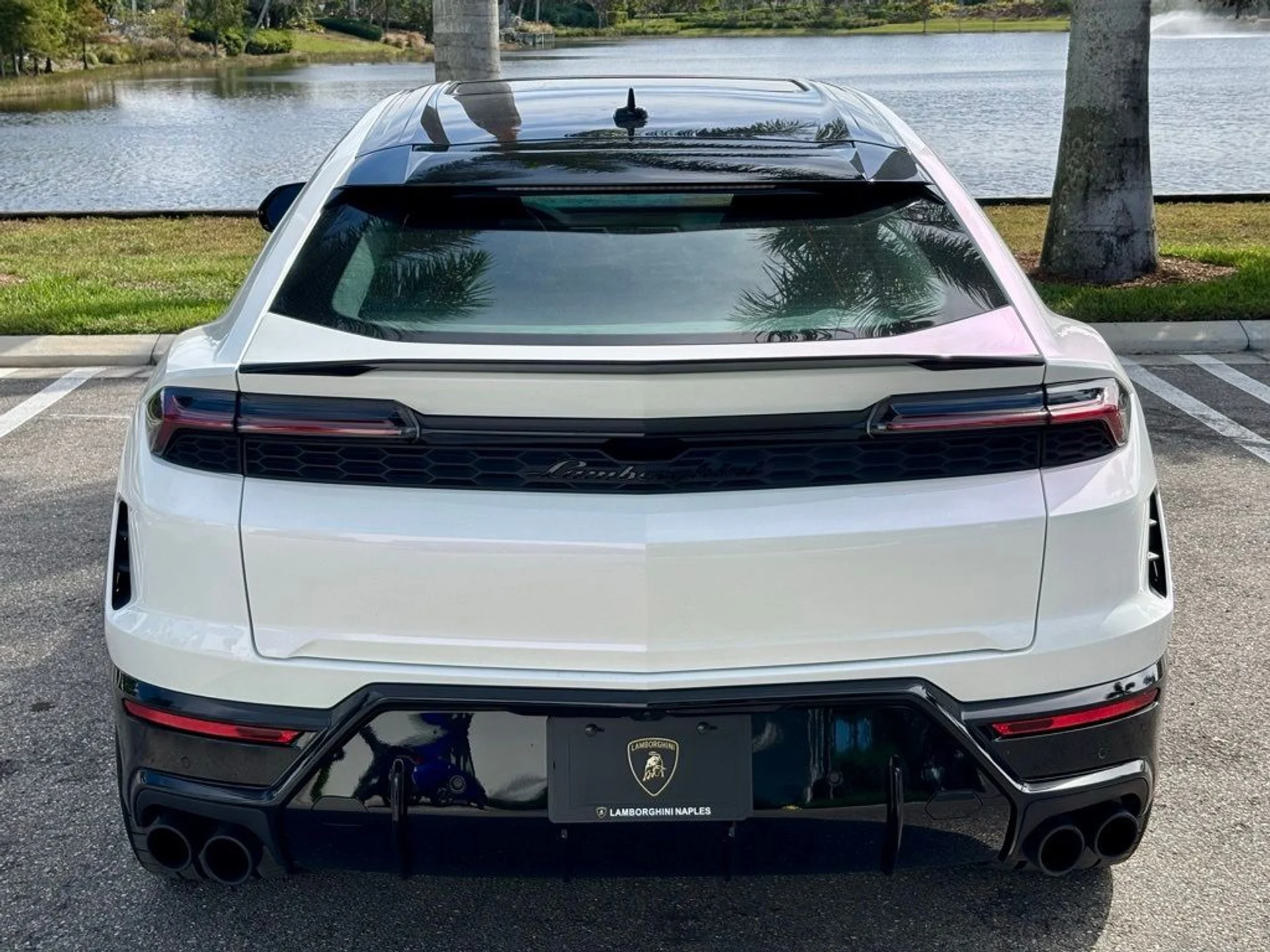 mph006_553145965_76fc2765764ebd86ae8c16d9f3e08562_8ecb1145ab