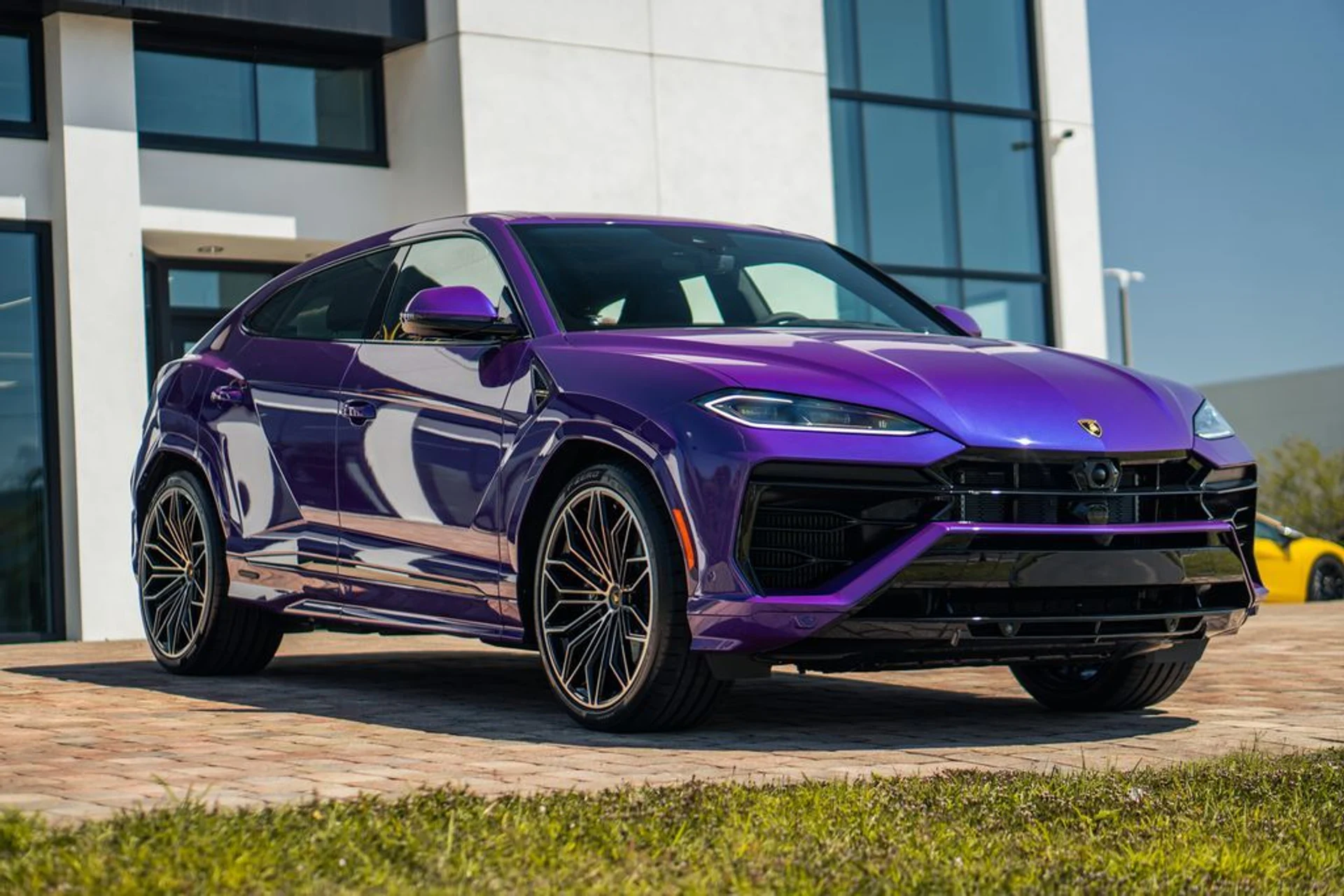 mph006_562762995_9527f1f0f674c0ed8695233252f88980x_bac88e0a14