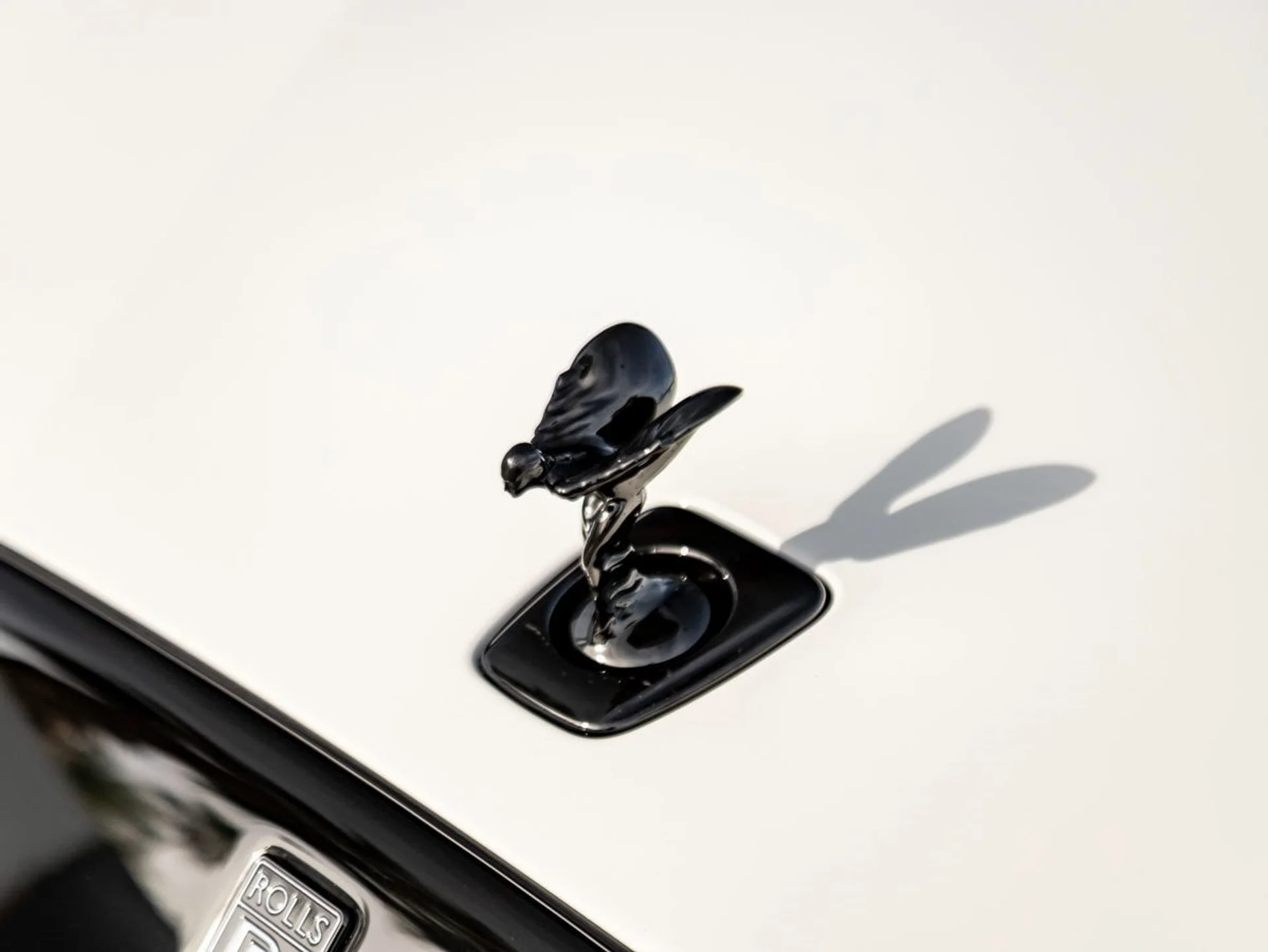 mph006_607622124_7_58b58fb4d9