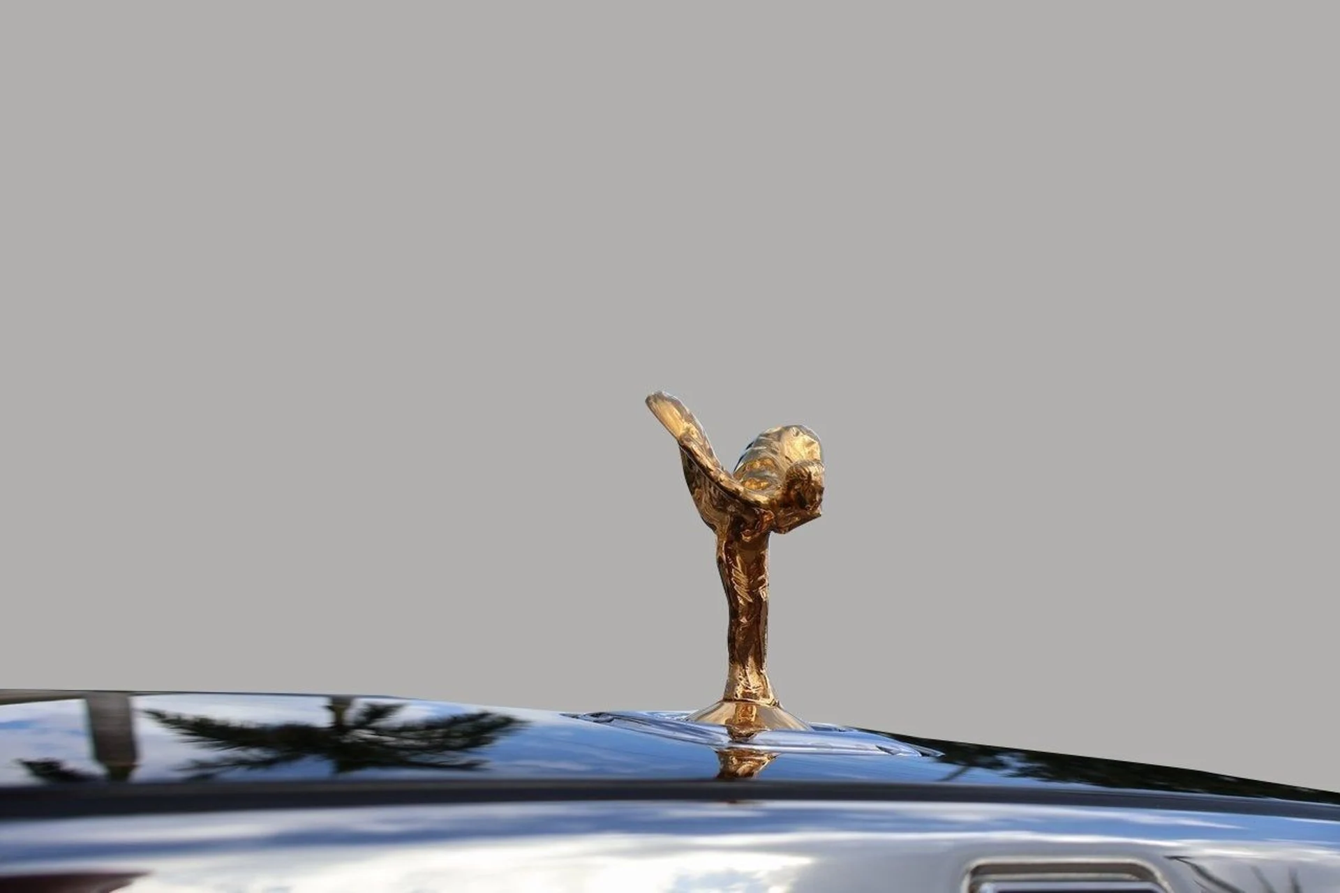 mph006_704225903_7_b773e7d6b2