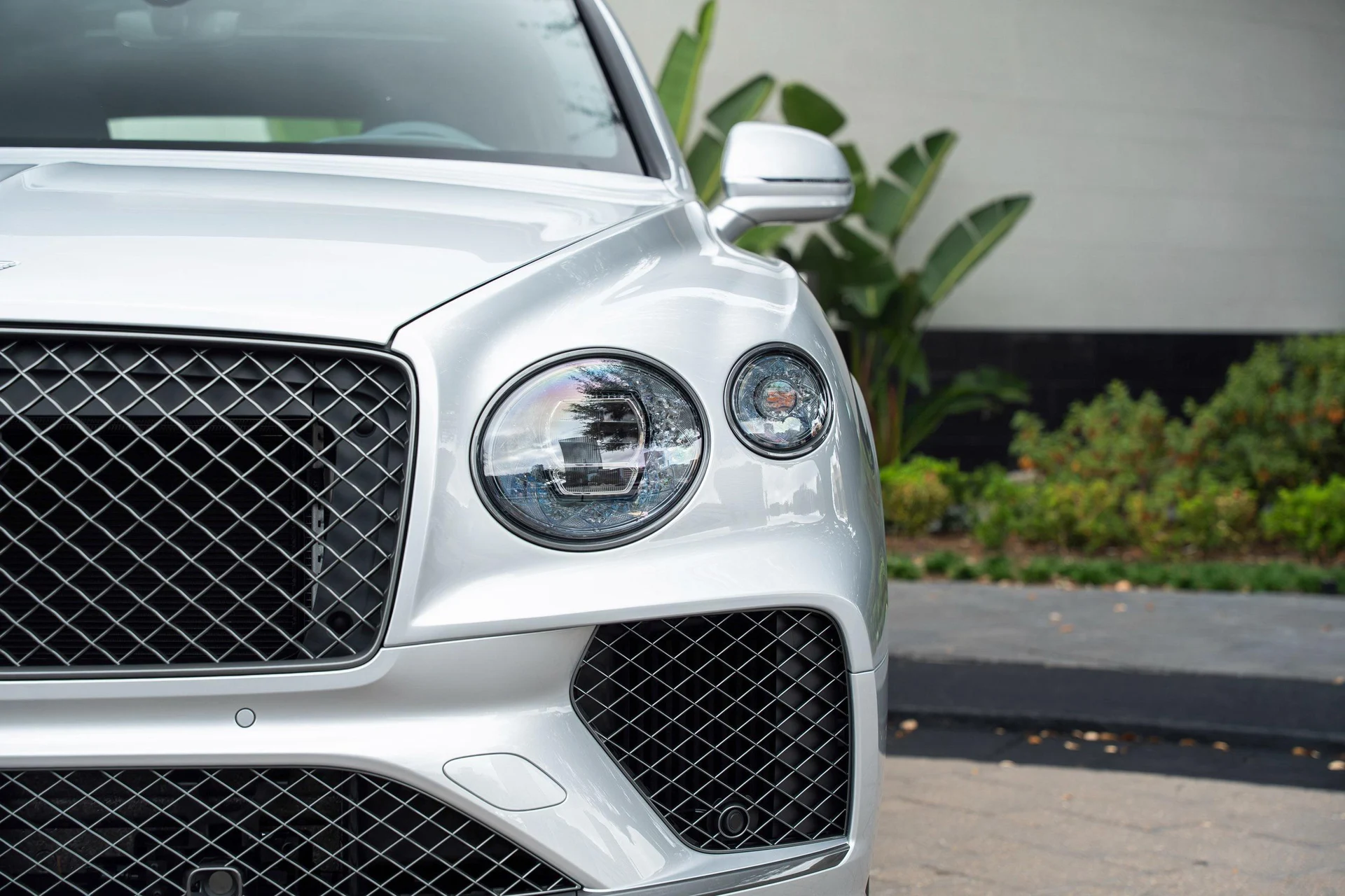 mph006_759957546_477619924_6954c0034e73cd9f103f4fc7_9958c45f51