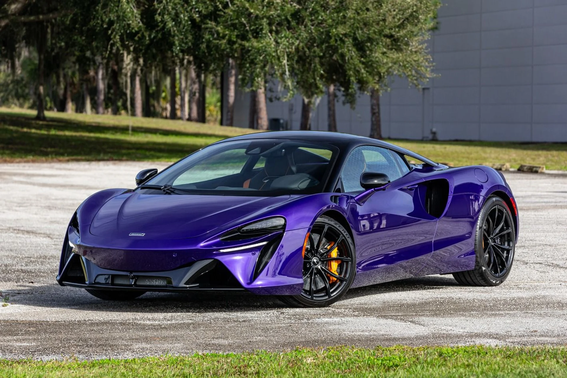 mph006_833575863_362_p7_l_a1aba5619f