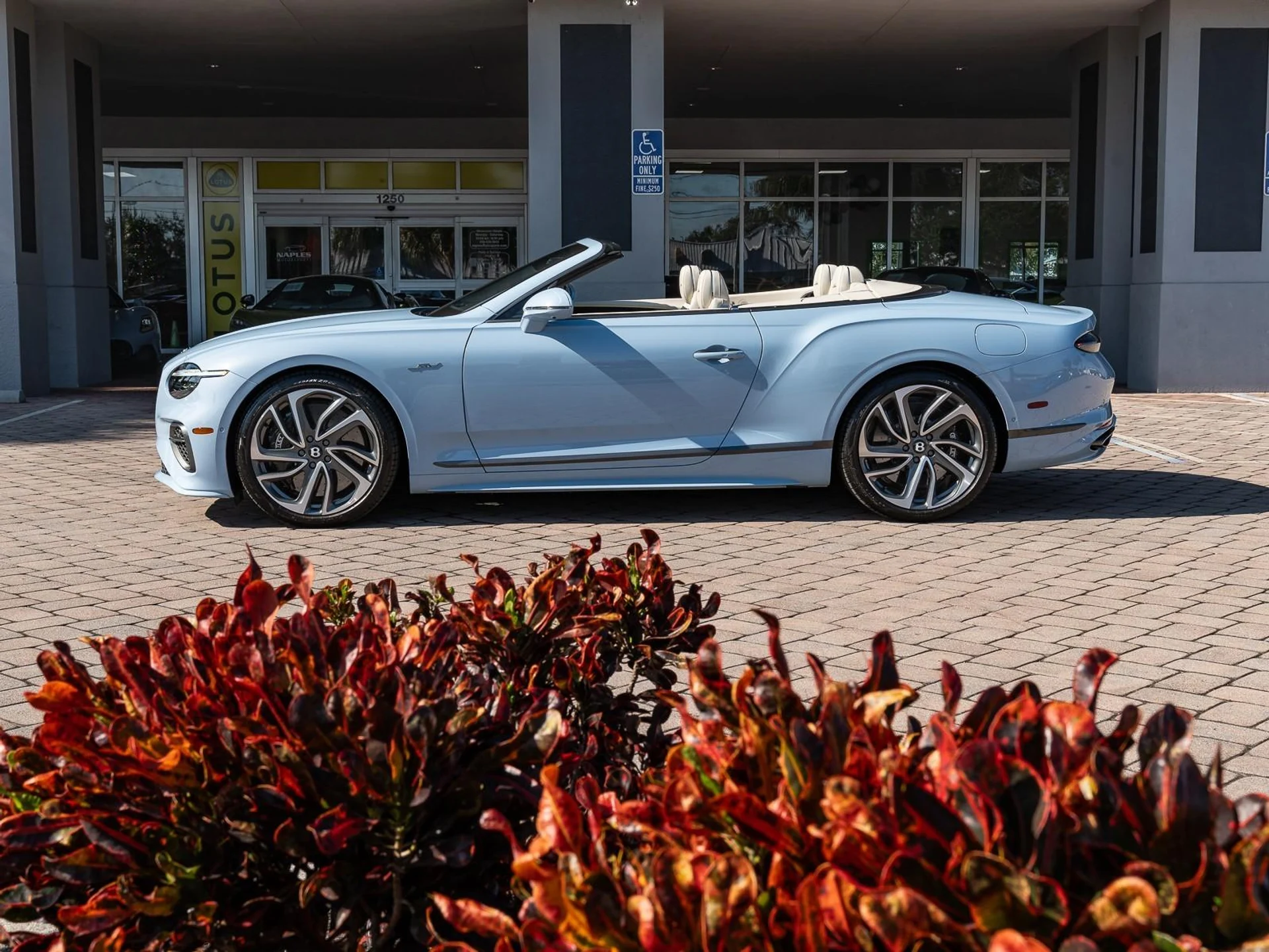 mph006_844701760_Used_2025_Bentley_Continental_GT_Speed_1766181969_23ddde0412