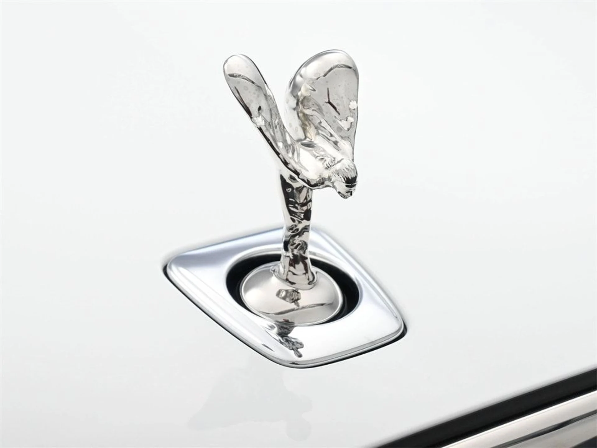 mph006_916840993_d7ddf562e2db9558555a9284c51dcc26x_286dcbccec