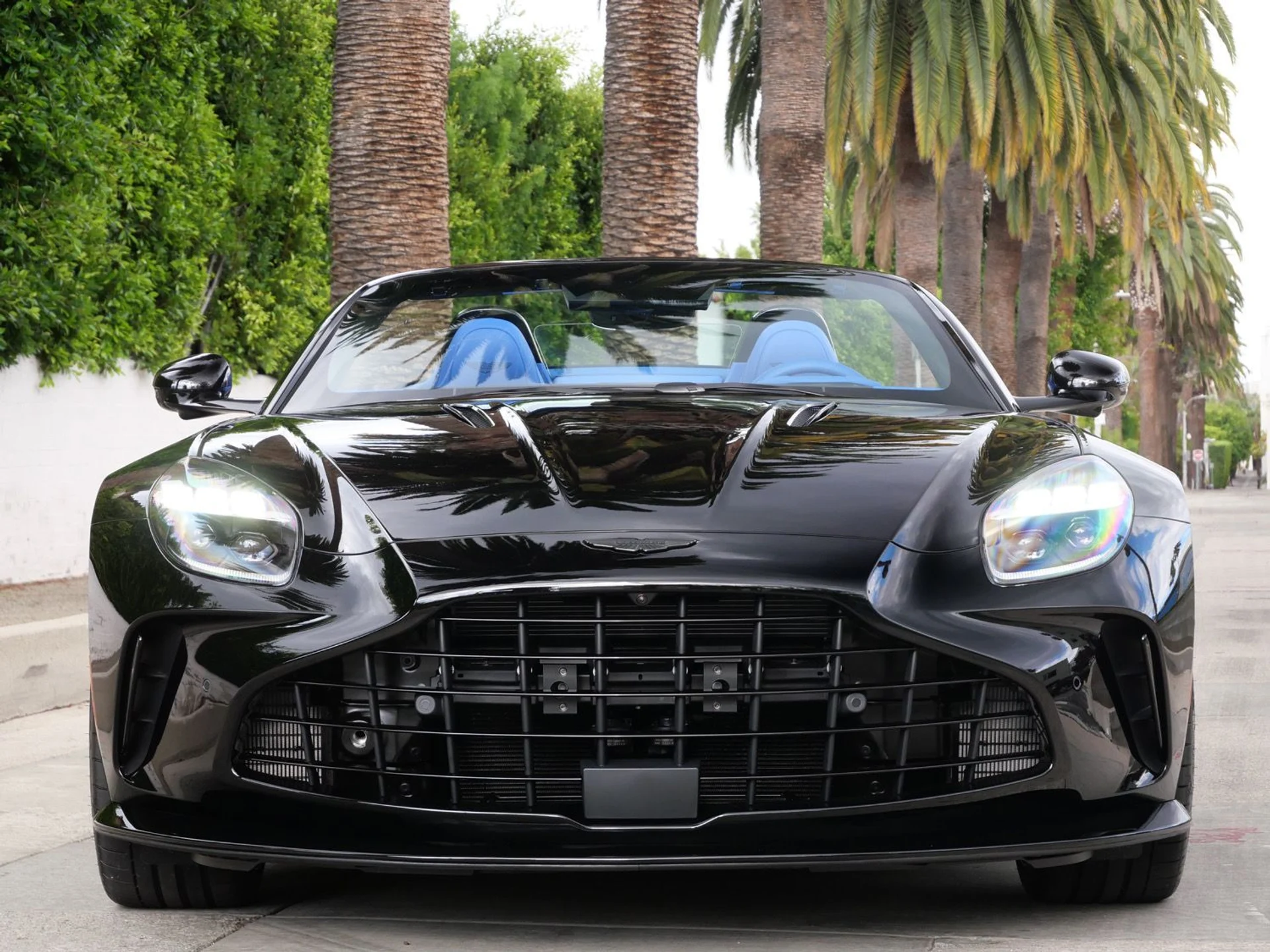 mph006_919830648_99b2cb74bea07d5342ccbbd60404ab29x_17c01b2728