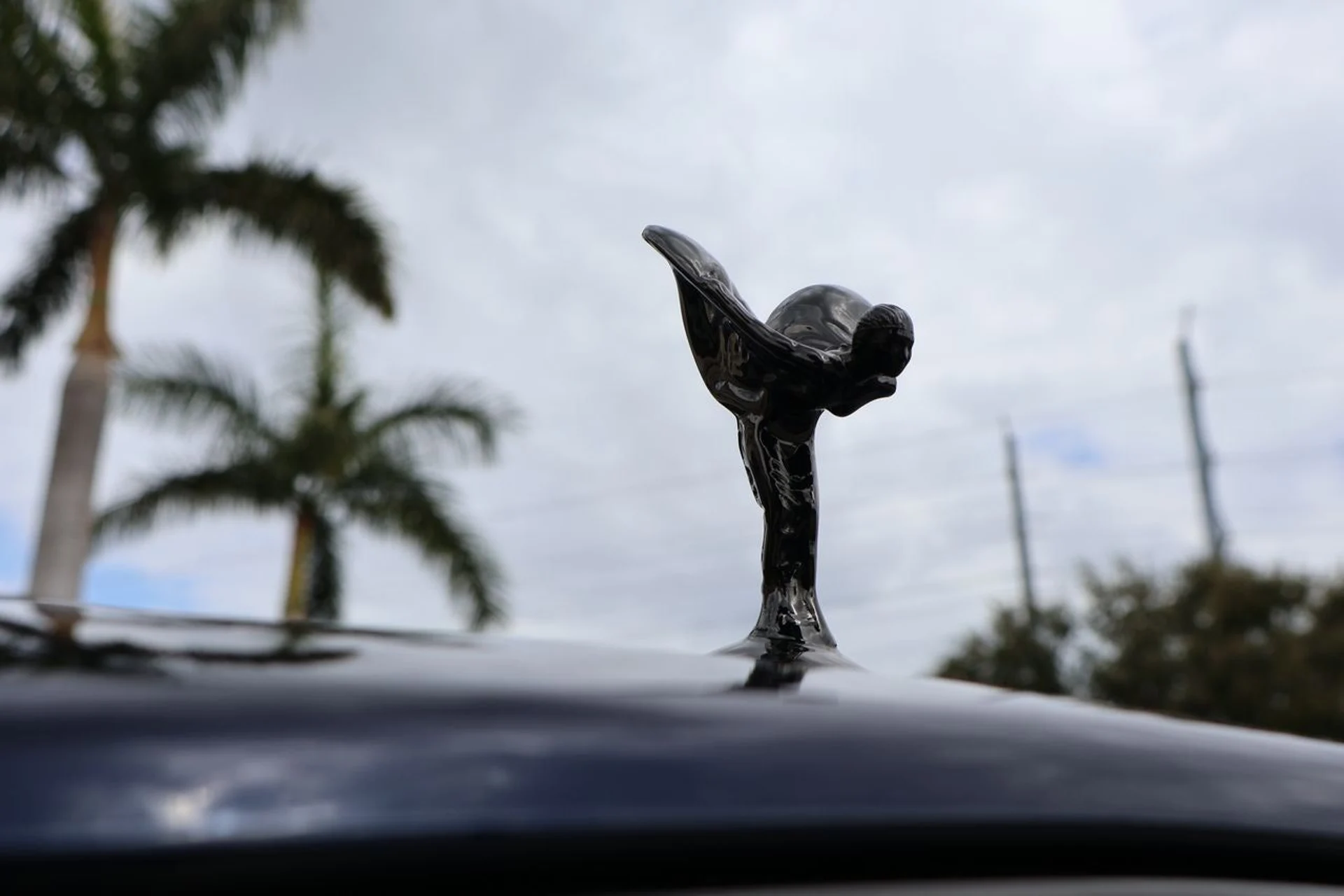 mph006_937537168_7_68e4ea351b