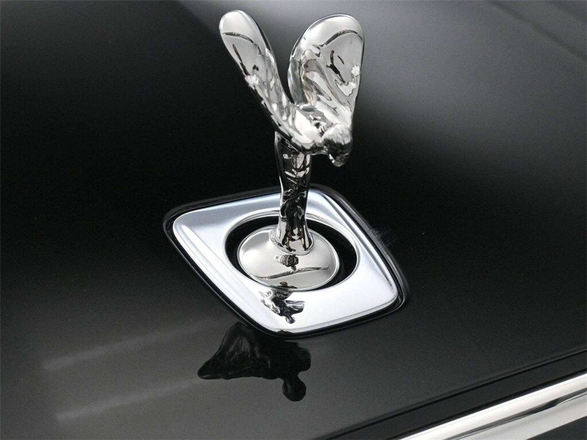 mph006_946310858_7aa1f419a7afab8a42093dc0a3a62bf3x_d4d201a906