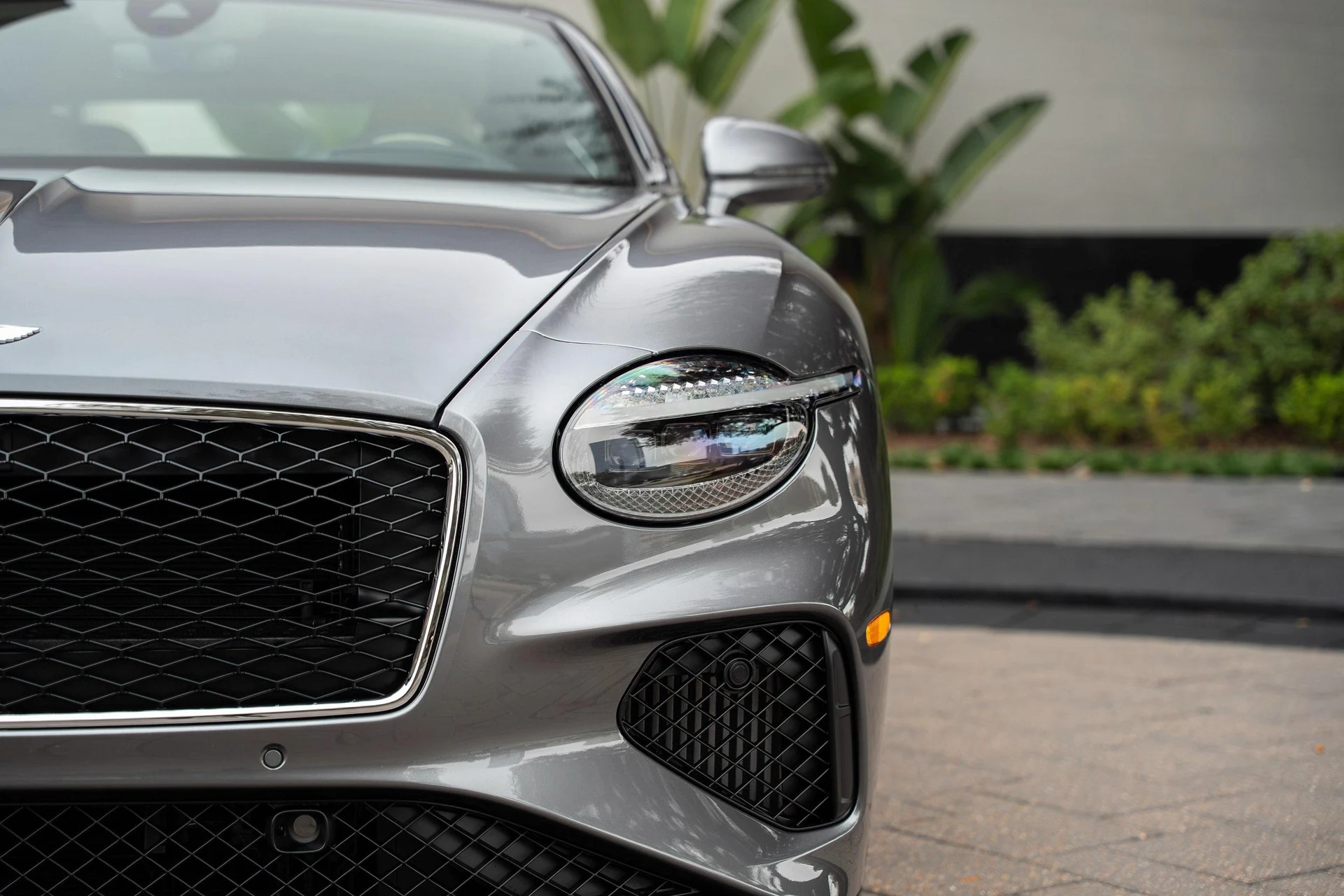 mph006_991359698_477619928_6961e642d65fbc1ed22430cb_5d88239ce0