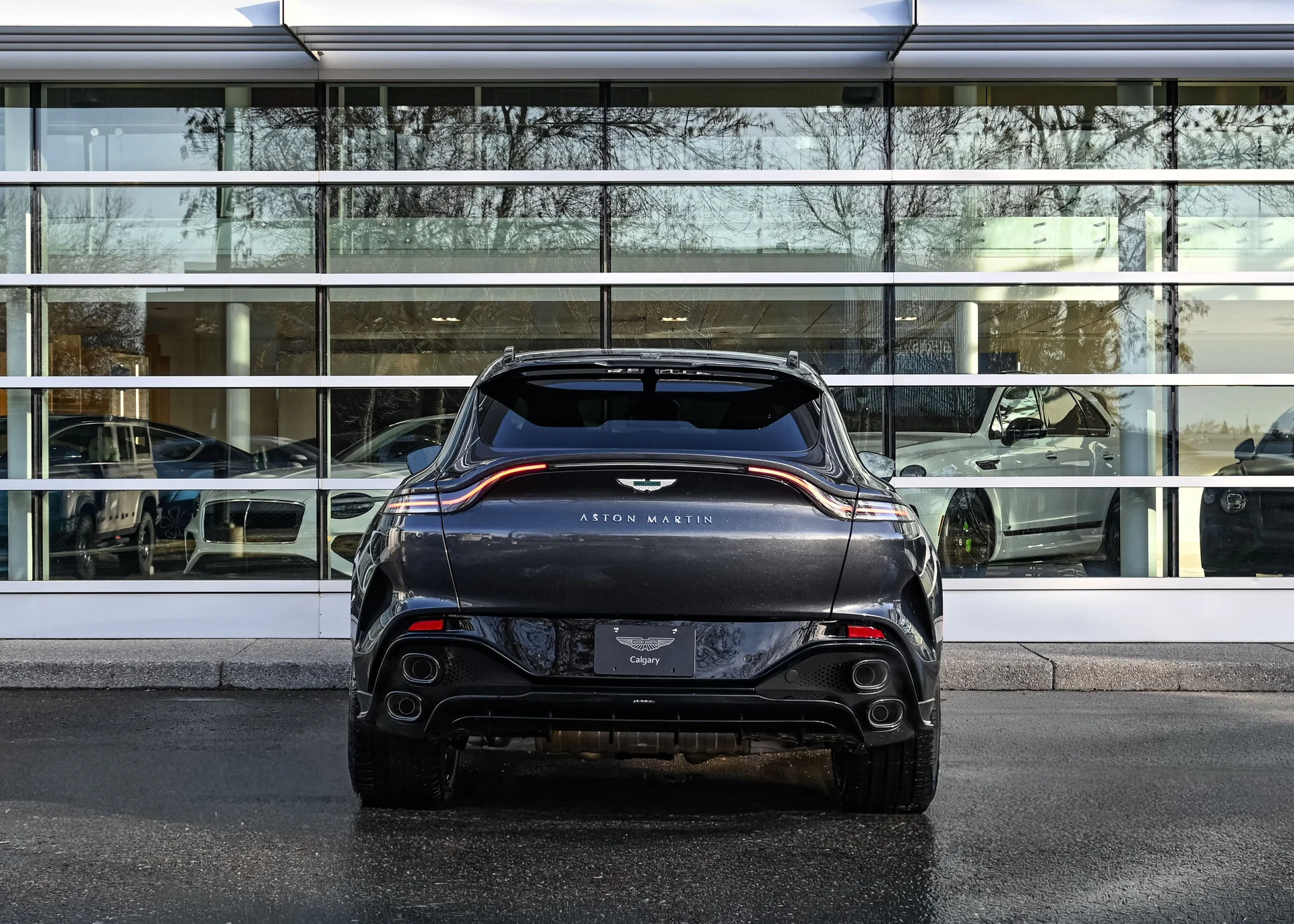 mph007_102160853_ac76d97c_5c12_4a6c_89c2_f86659977b1c_304742847a