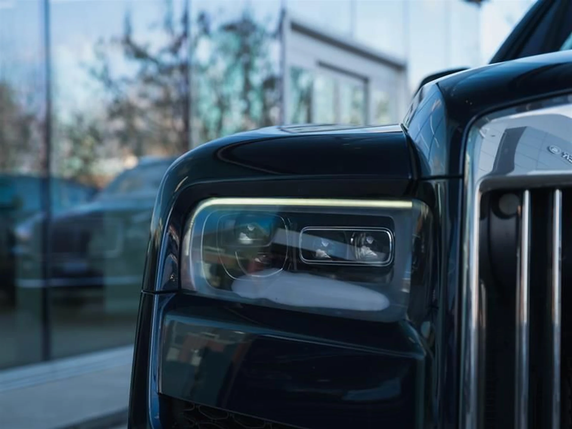 mph007_1170045660_hojaqqo2_8e7511252c