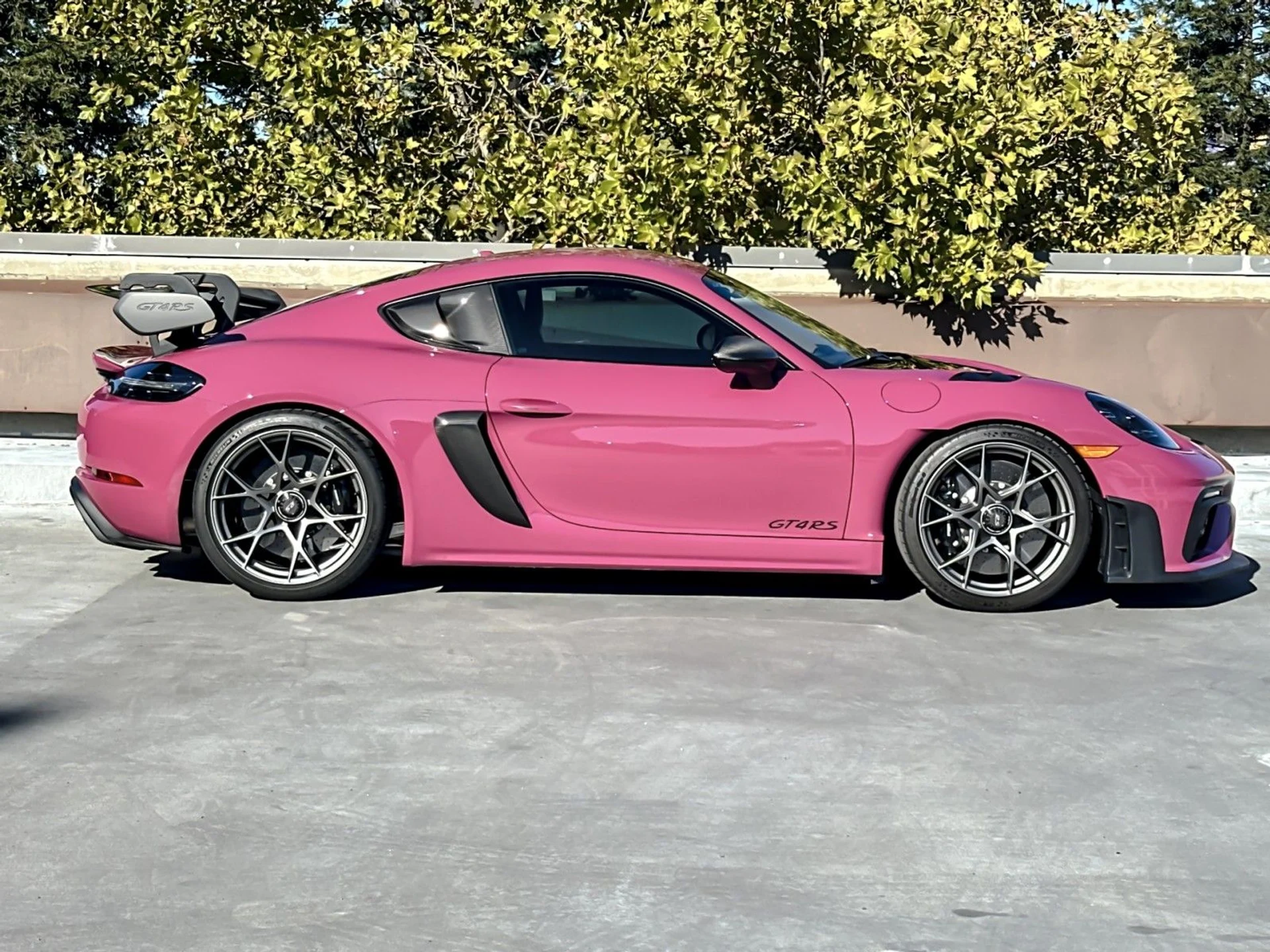 mph007_1239981966_aff9b35ff215b7ab12949e74d7448977_8a1f23d3aa