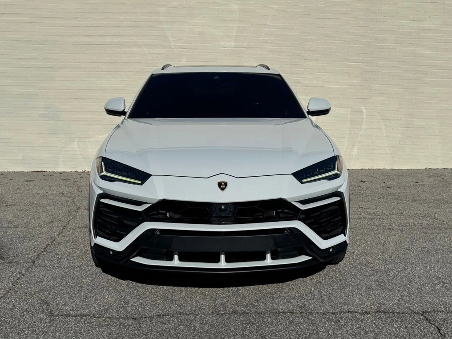 mph007_1279738213_7dd712c2ecea491ad9a1a63793f3d55dx_1462073612