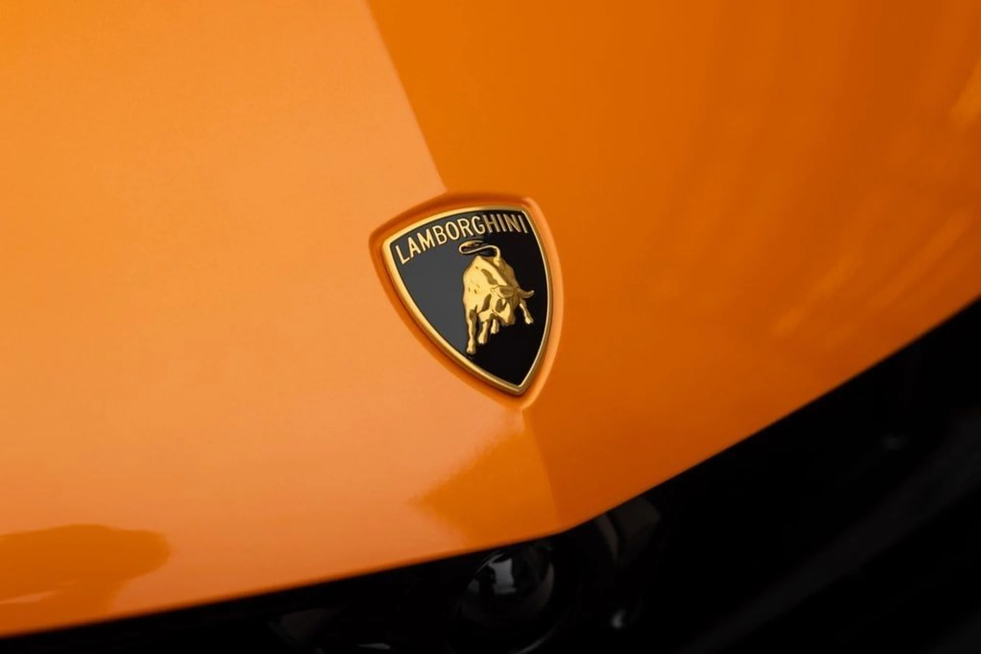 mph007_131026424_2d18dd40b7dd44d7359d10fdc9b5c9a7x_33d9eed6cb