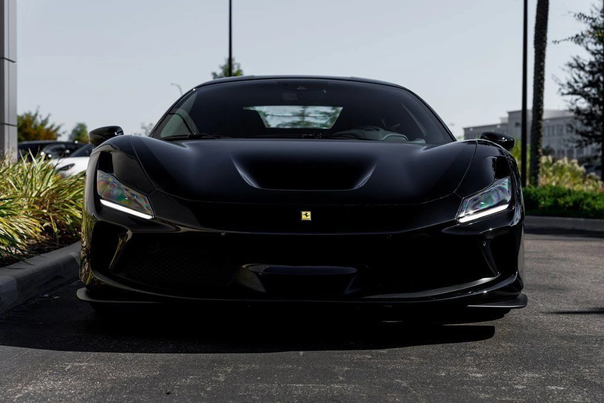 mph007_1317675663_382675670b4717a001daf5b3ecf1a85c_4dbf5daf2b