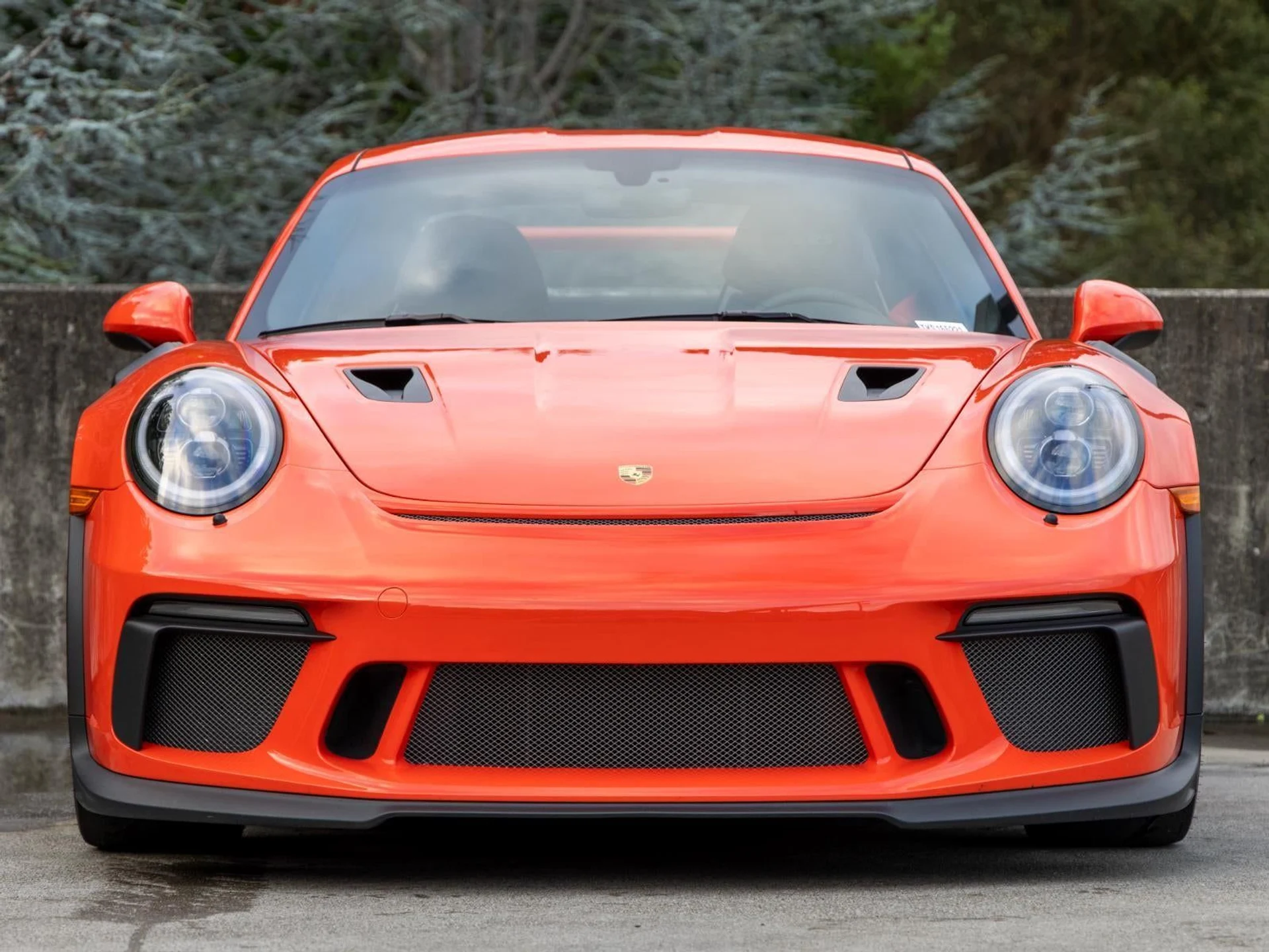 mph007_13768095_8_1d8feea5ea