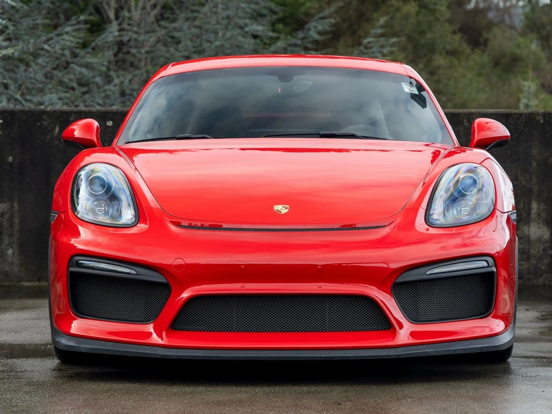 mph007_1562247955_8_af5649f3f8