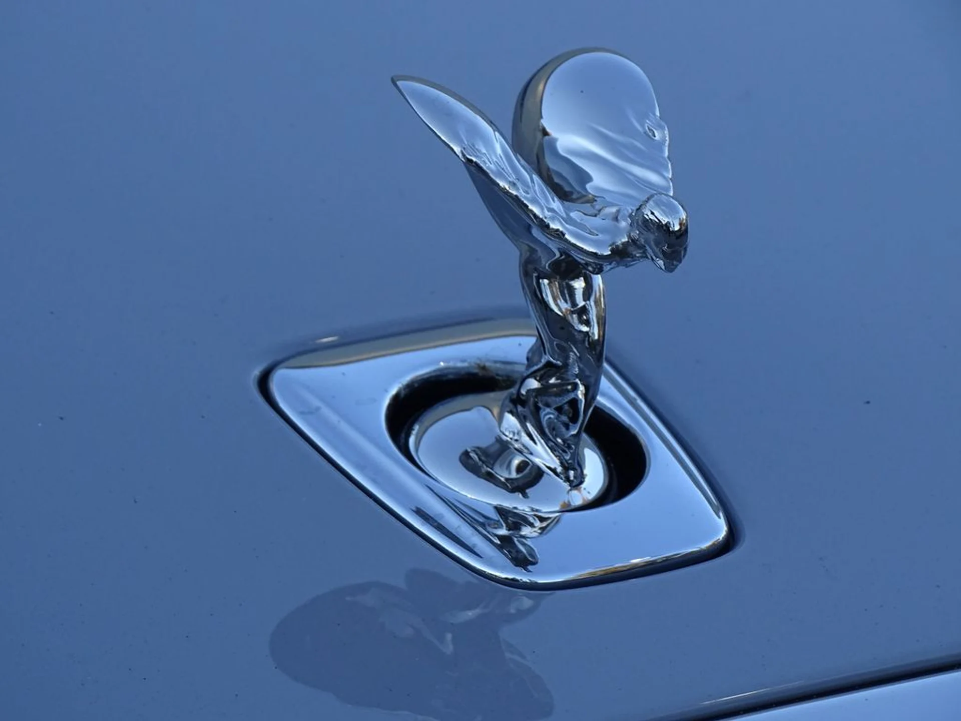 mph007_1678326740_d1edd0e947bbe294c19b59ef4678c156x_8c378a08d1