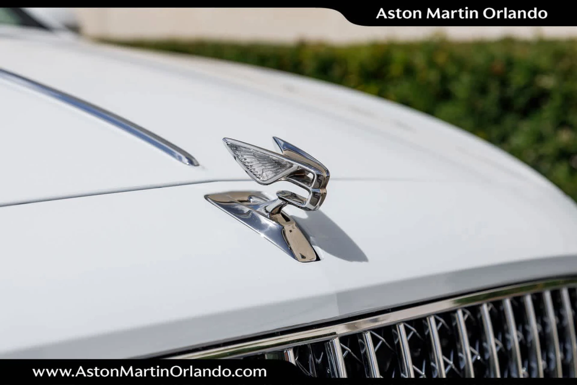 mph007_1744315616_8_002e674a85