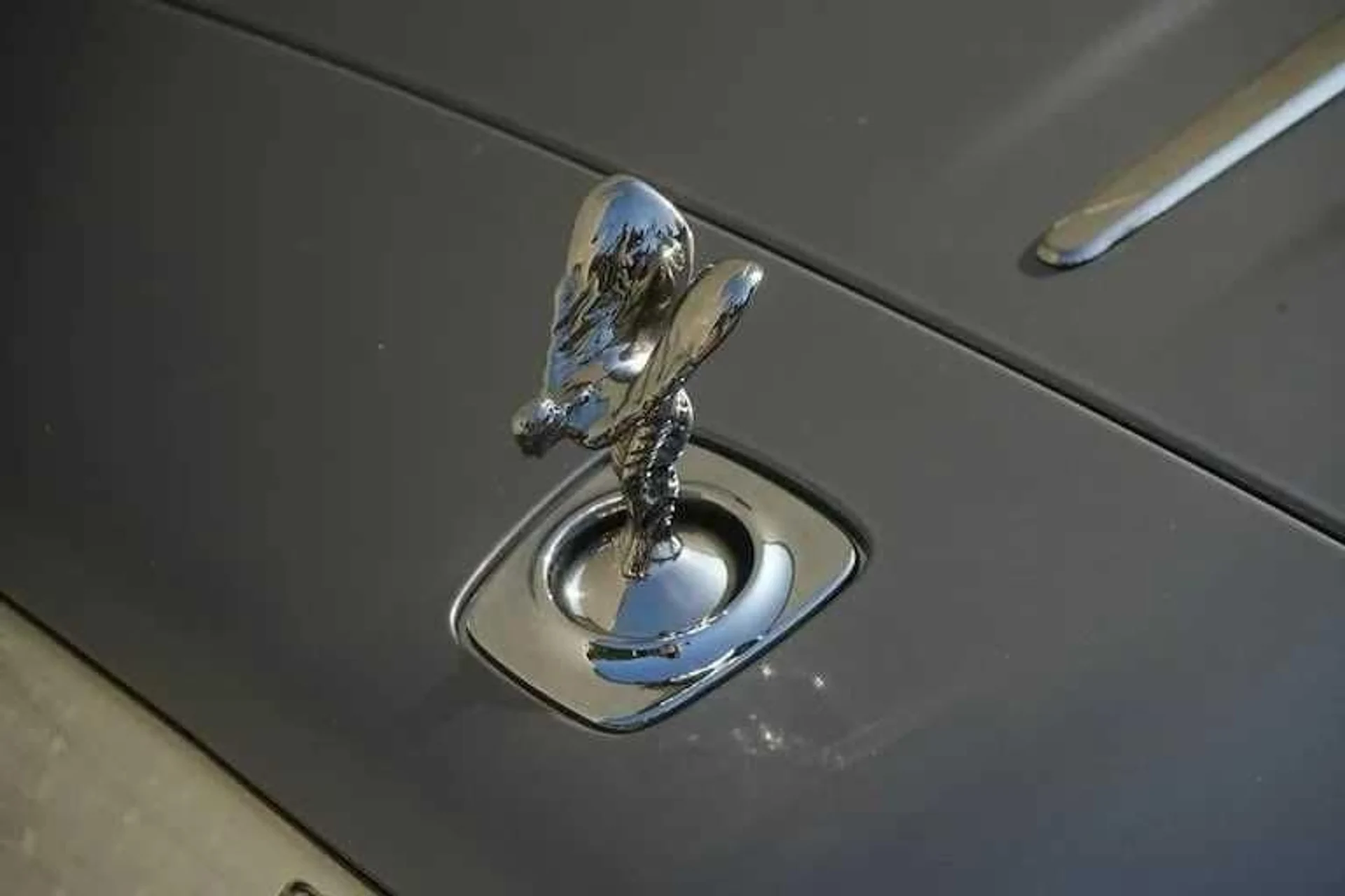 mph007_1855369474_1c44a272fb799ac7f9ef5cb896506bd7x_f8cbabdd73