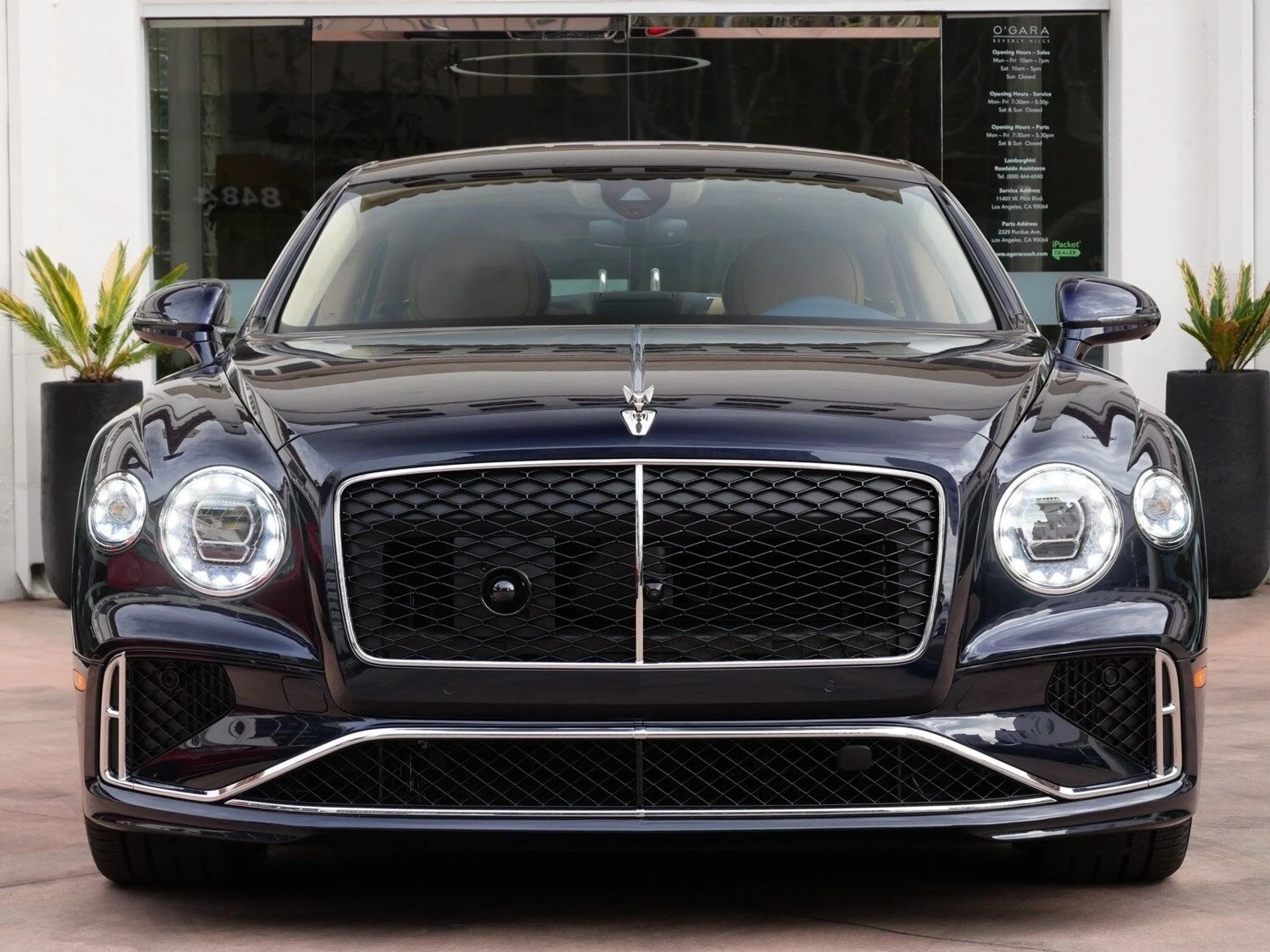 mph007_1892838313_dbc9c5561ad20af72b1517624d5c4b33x_8624711a23