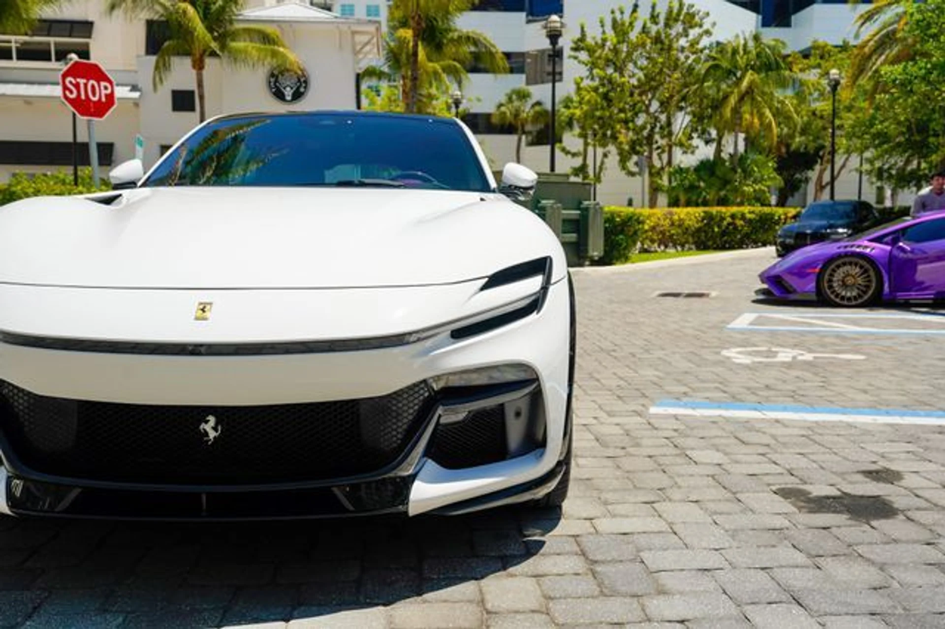 mph007_1896098482_23015679_8_d8dbbcda4e