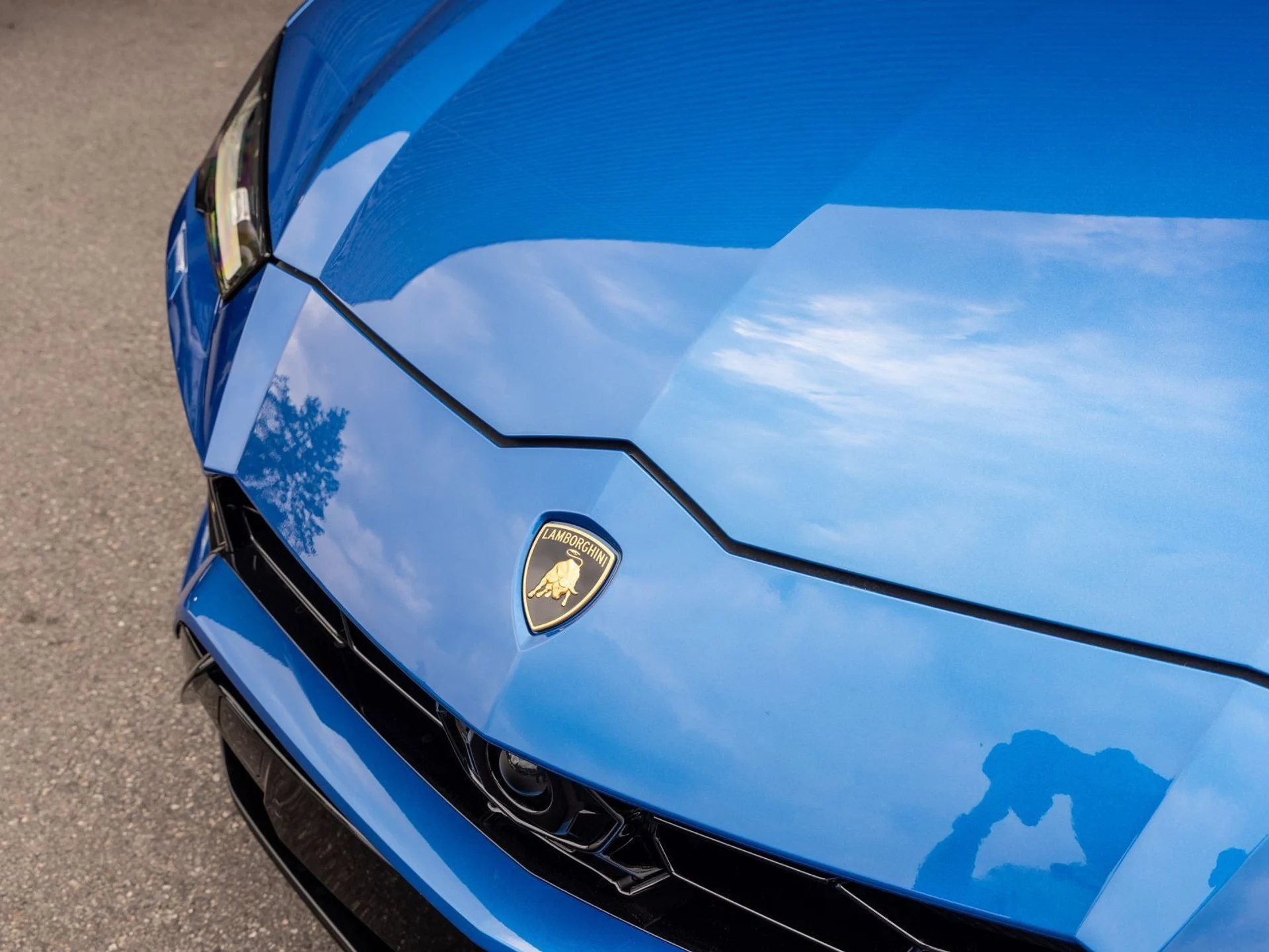 mph007_1915924239_8_f73759bf9a