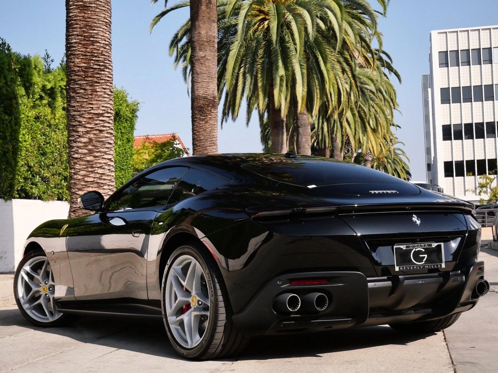 mph007_1916529030_9adc9e783cd0c679d41f81265d2240d7x_1c1eb1d376