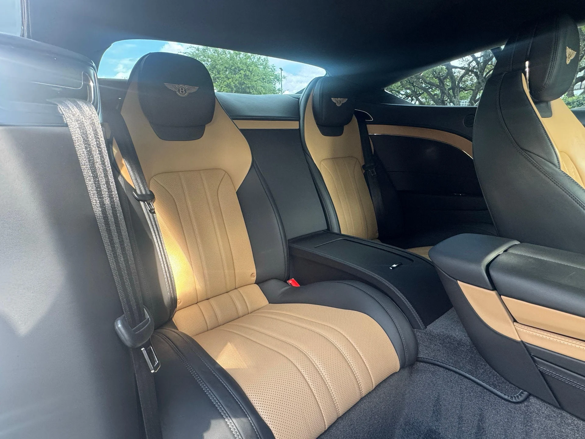 mph007_2021836936_506904699_69c53bbd4d6f499763bd568f_3db0518409