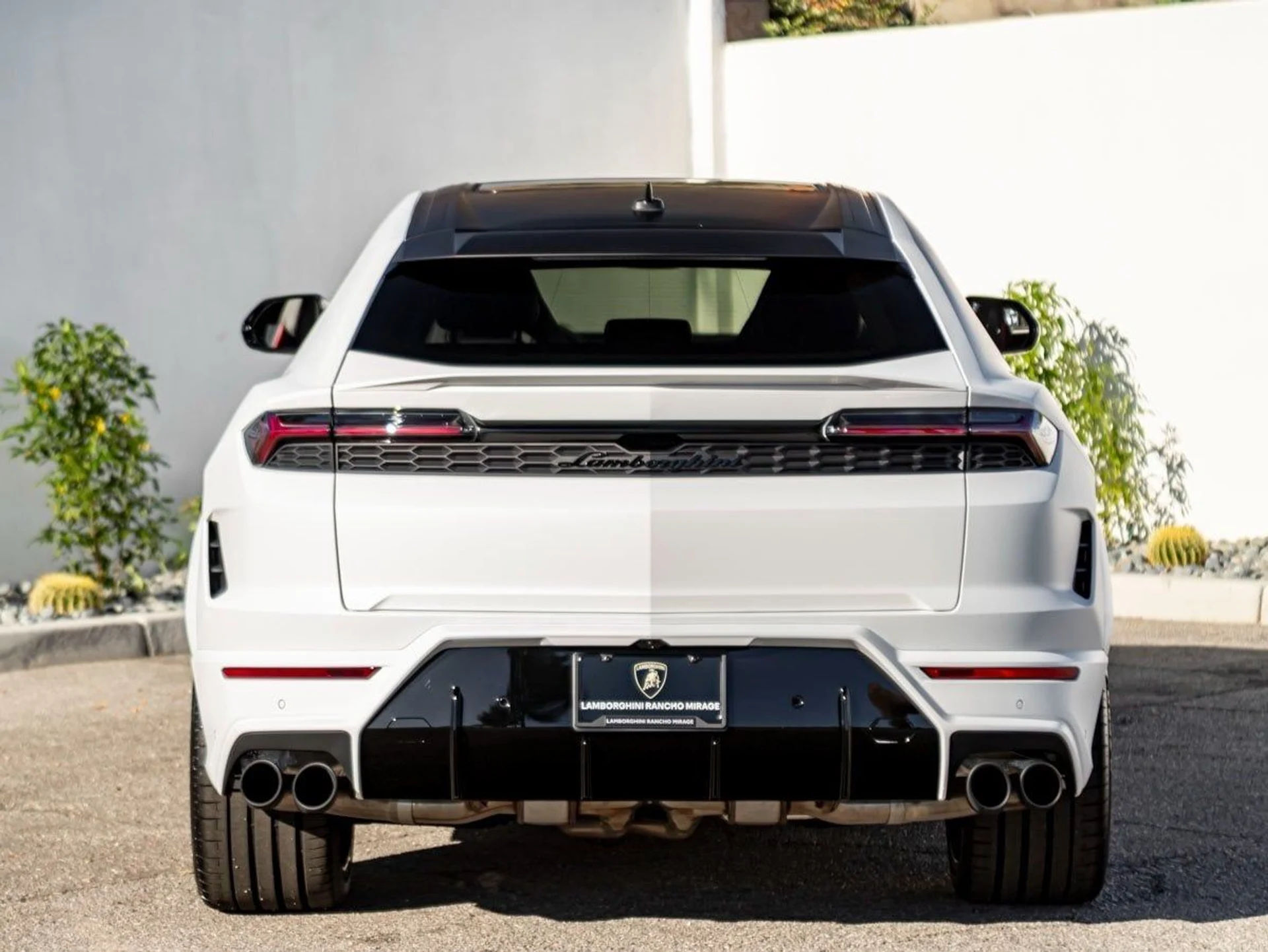 mph007_2124730397_8_cca6cd6d19