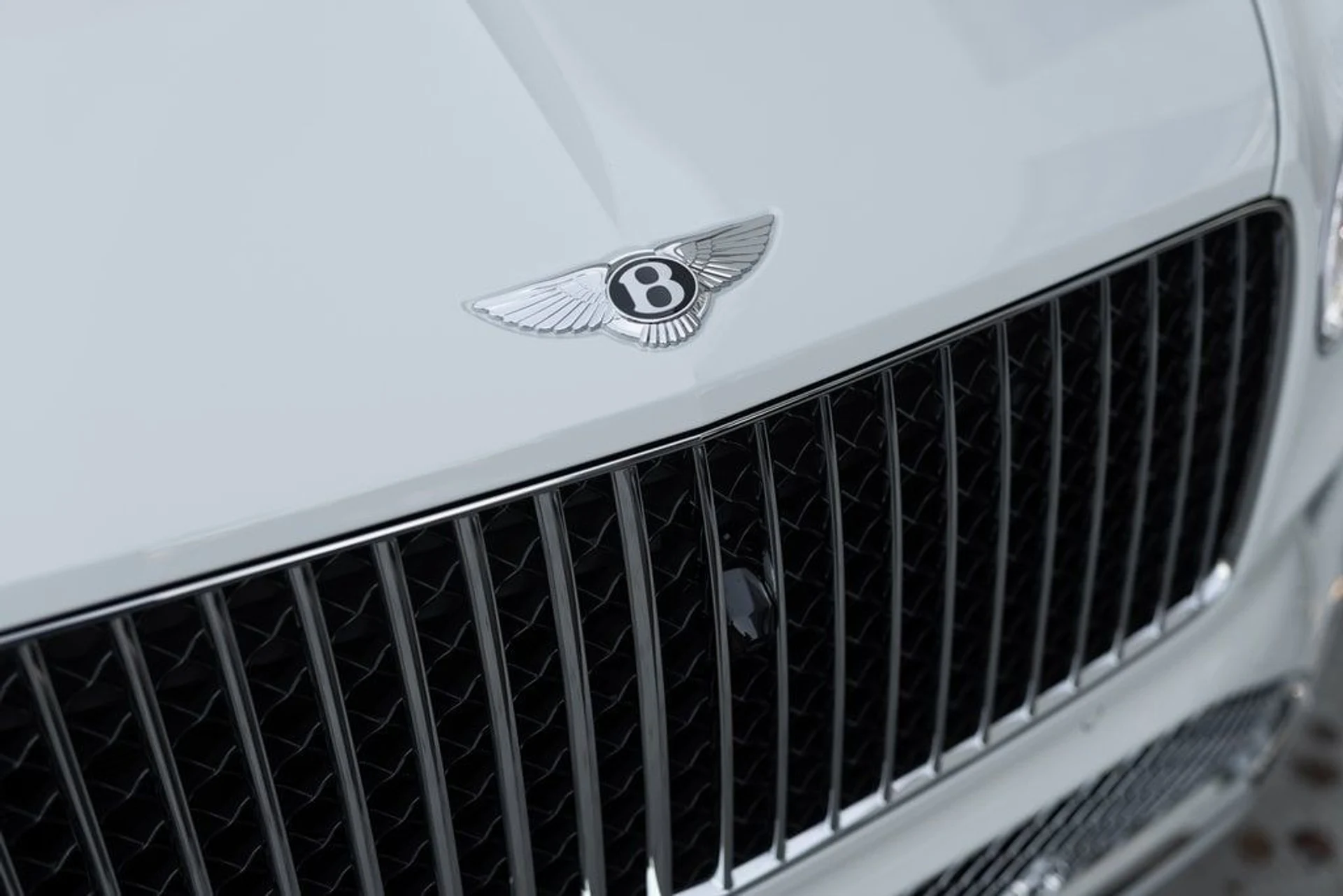 mph007_2130990286_665361c7f5c82d9dd7943a55749684f1x_9a9e414d4f