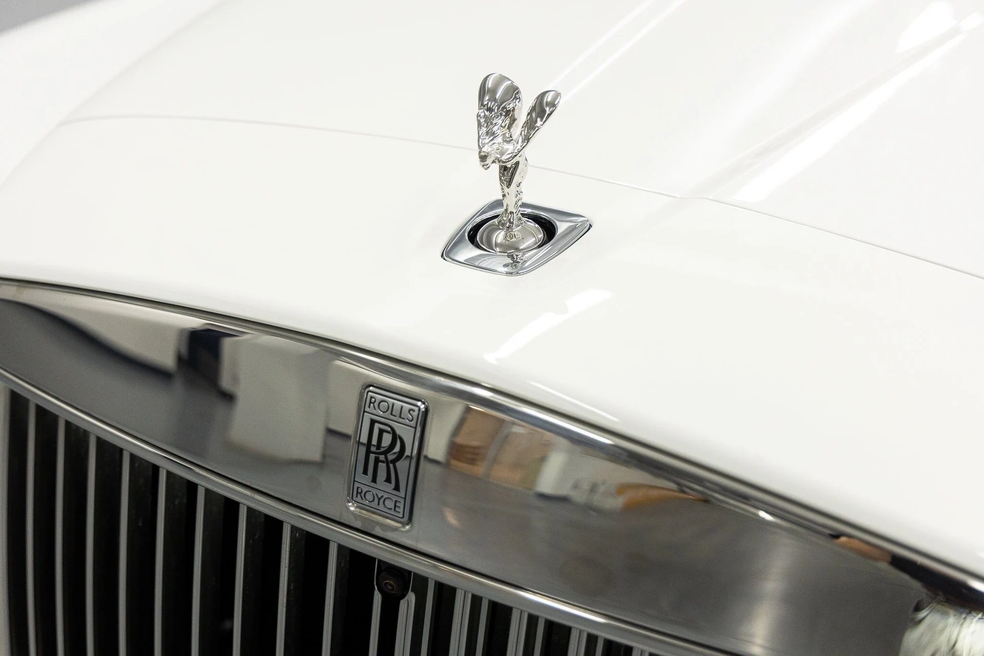 mph007_2171508610_8c484abc02e21593a1b82fd14d535a2fx_b3d2f4902c