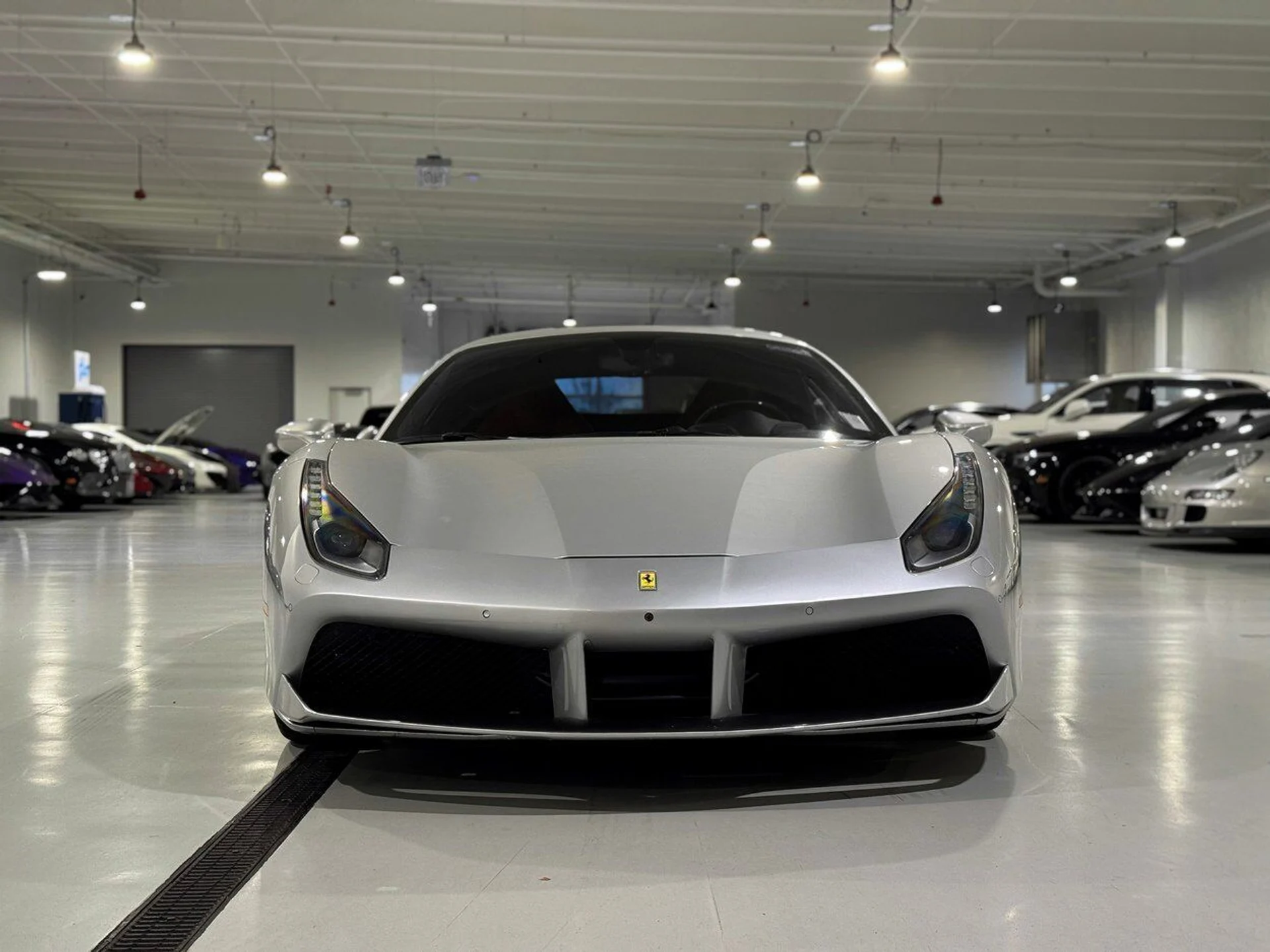 mph007_2178410464_2d1f175a097a3f315fd545b1be53a390_8d4578d46f