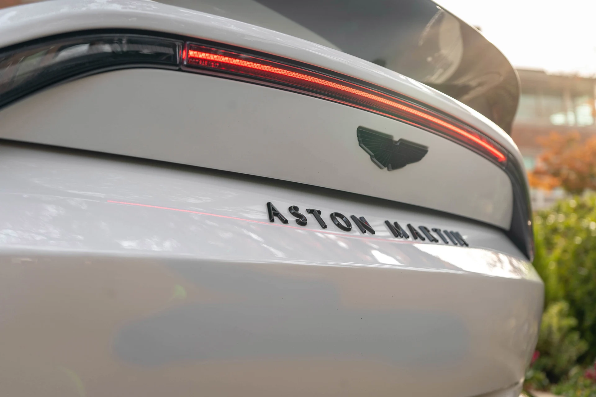 mph007_2196950944_8_7afb1dbbea