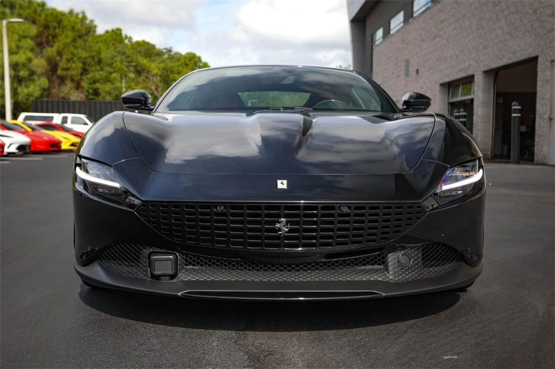 mph007_2230525096_6c4f1fc80dcfd6c702ae54ef74f86683_e7e545a387