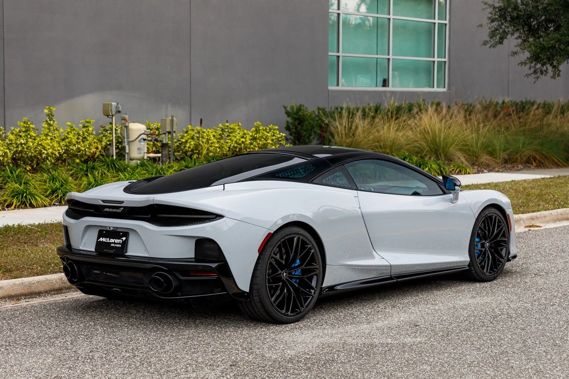 mph007_2243029905_642_p8_l_dc61932122