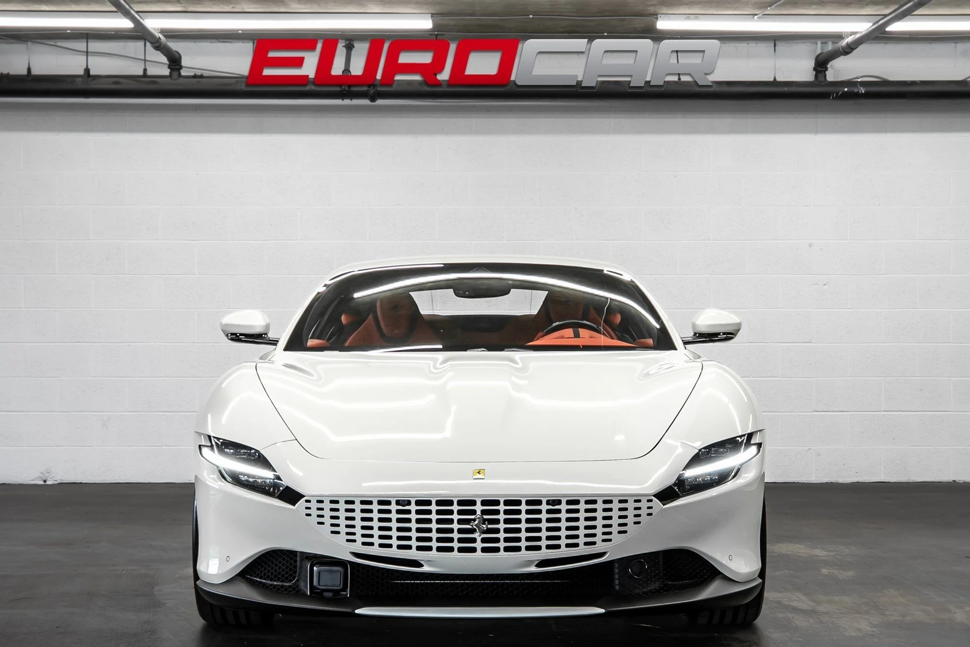 mph007_2352063013_image_8_165de48f9c