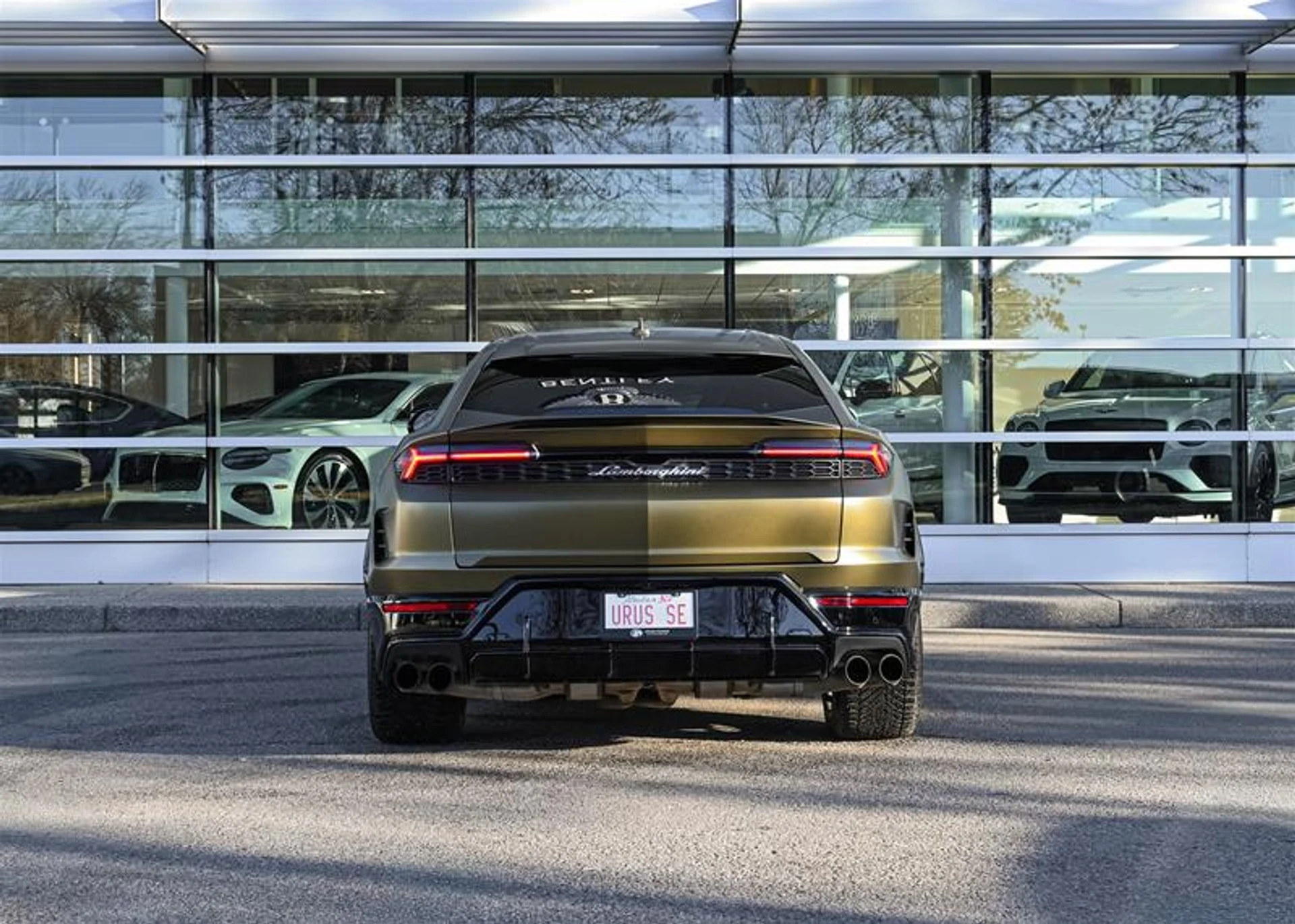 mph007_2398324734_10762108_1585006530_6fb7641893