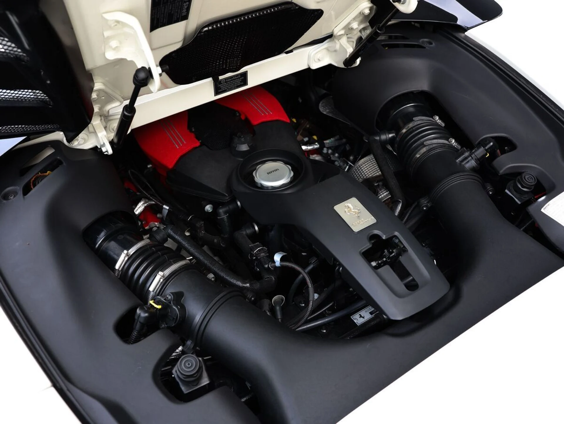 mph007_2589109913_594jtzity5epz62h34ierl35muhv_7553074996