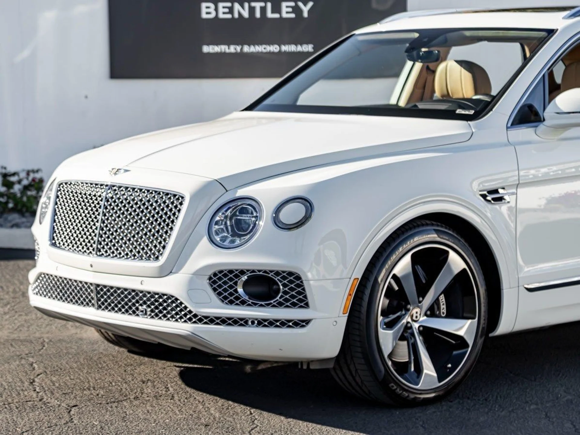 mph007_2613326889_8_e30f72dcf1