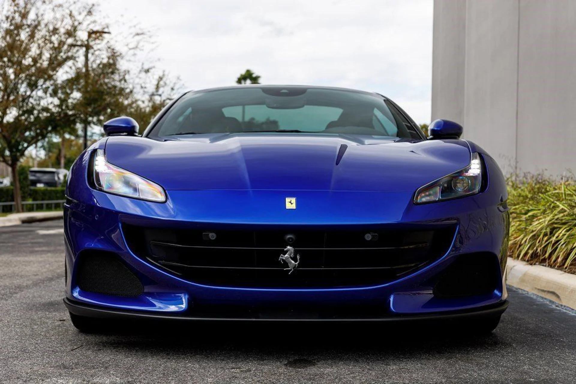 mph007_2635909020_49b372ba1d05c4da0229c0149f385ed9_790b2624a3