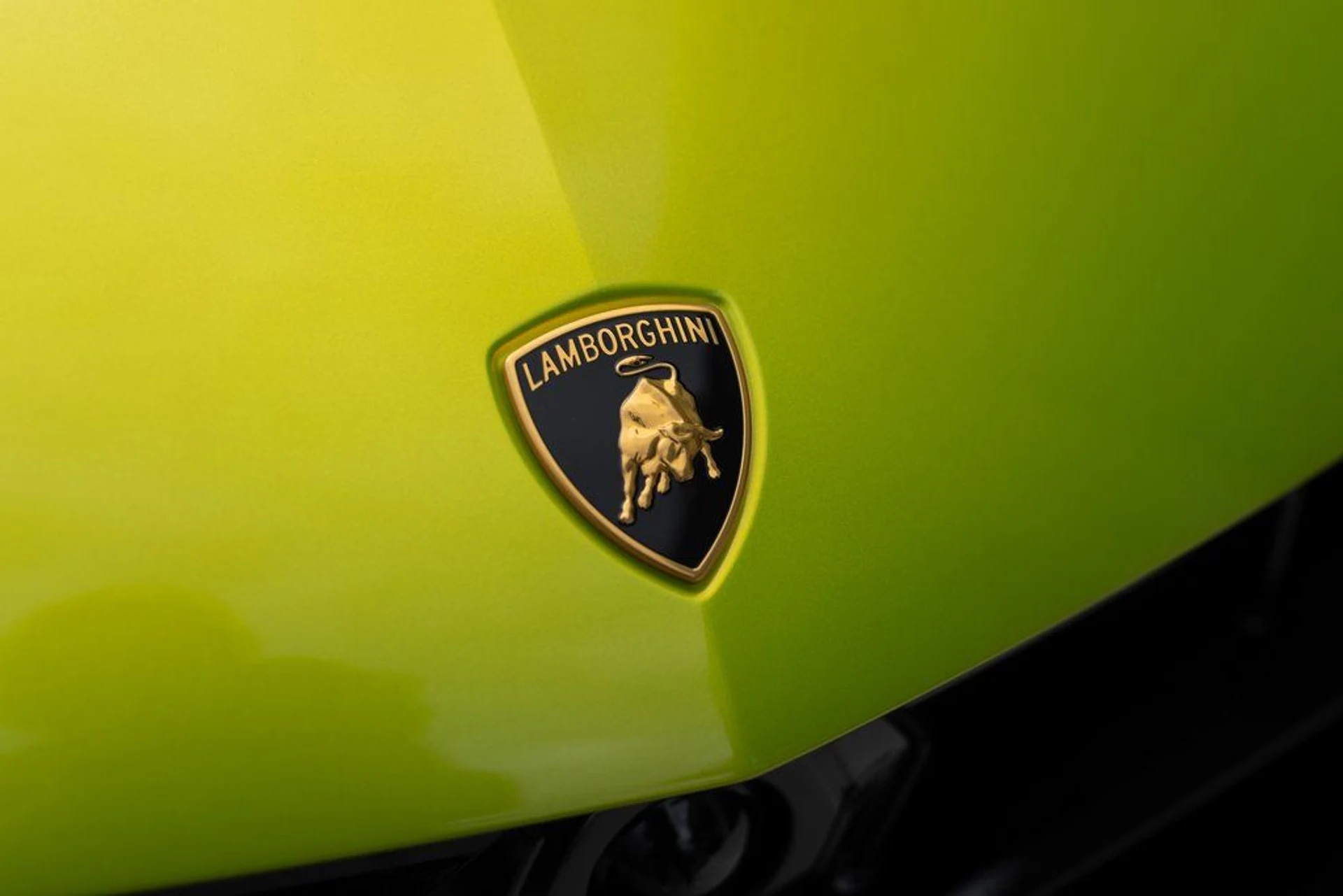 mph007_2647061782_d236984dd3251a3266c1bbf5ddec819ex_6ff6b3c813